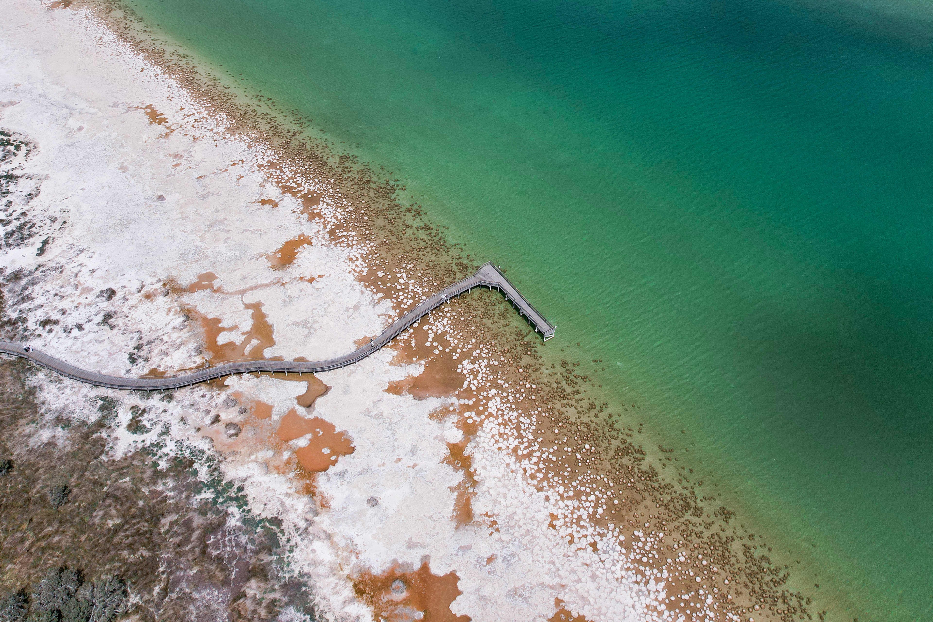A large estuary filled with thrombolites and a long wooden boardwalk stretching out over the water.