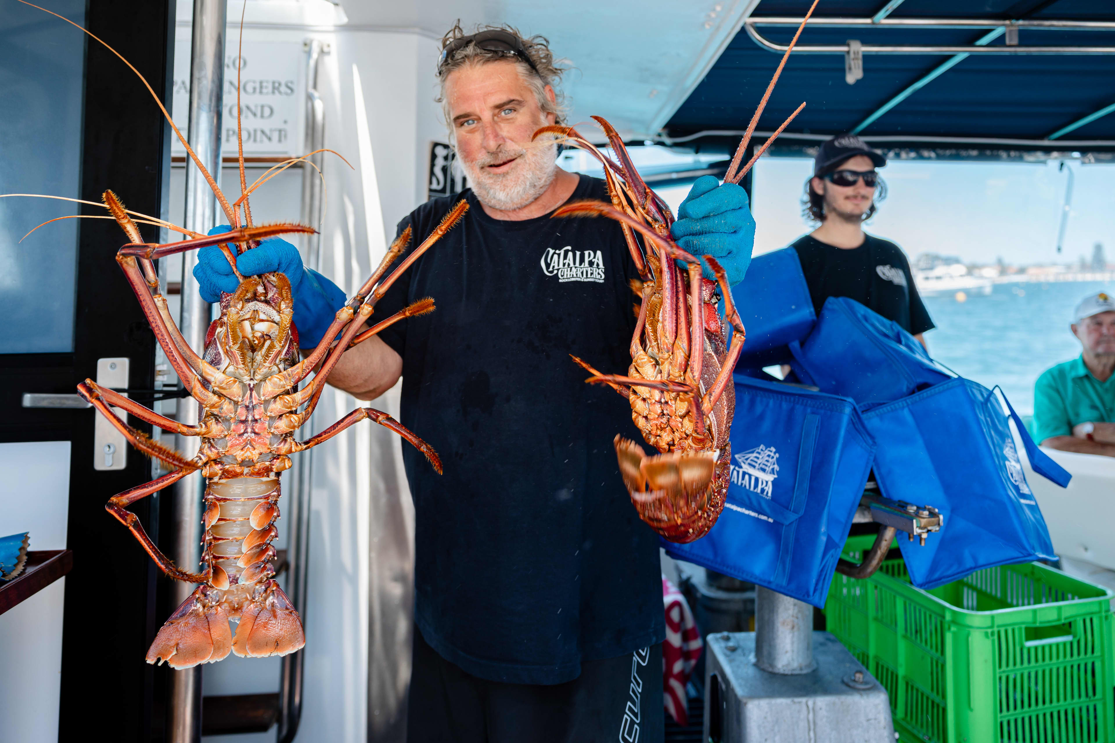 An older man with a gray beard smiles as he holds two large, reddish-brown lobsters by their antennae. He is wearing blue gloves and a black t-shirt with a logo that says "Catalpa Charters." Behind him, a younger man in sunglasses stands on what appears to be a boat, with blue storage bags and a green crate visible in the background.