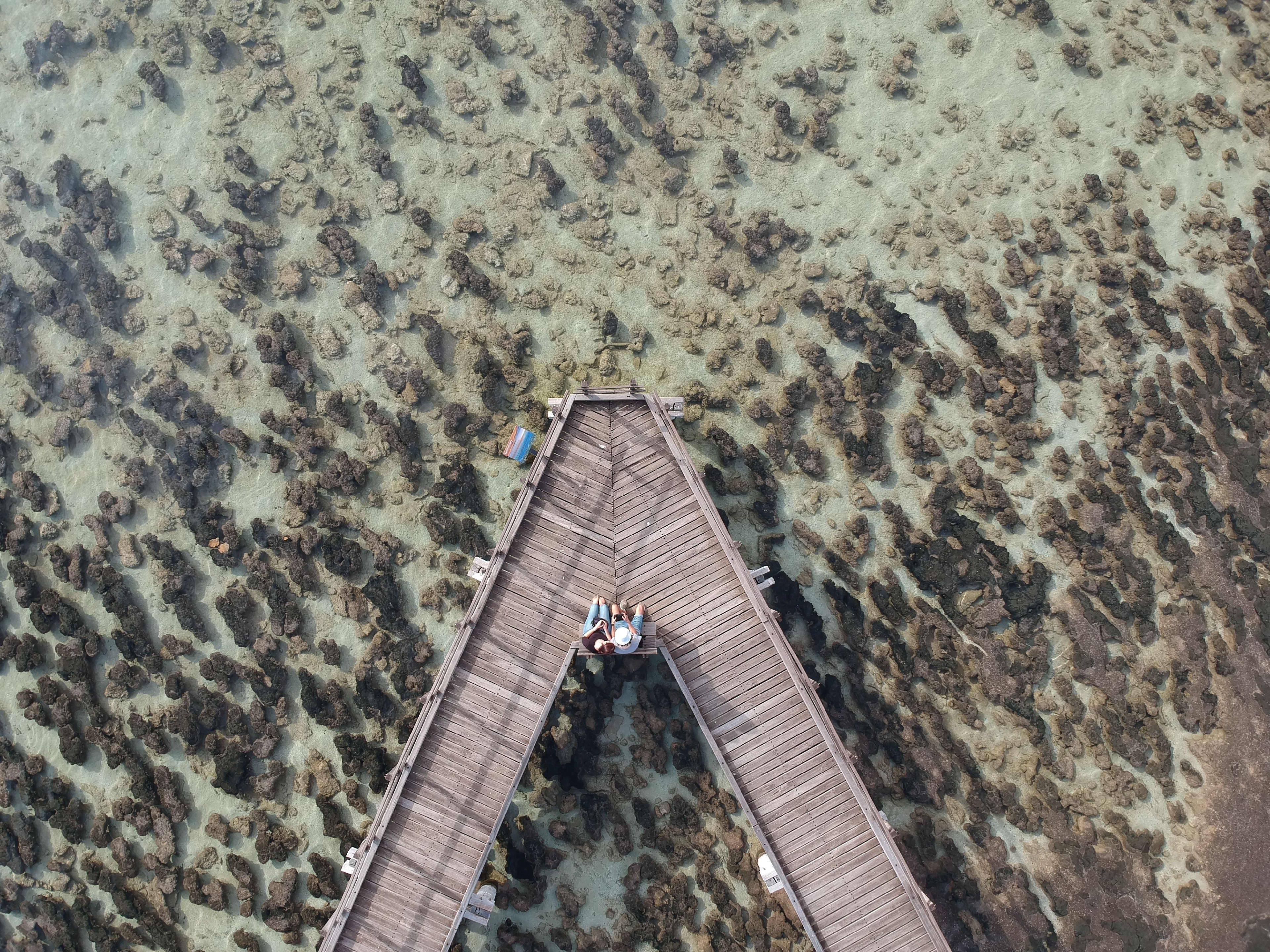 Couple sitting on end of boardwalk among stromatolites