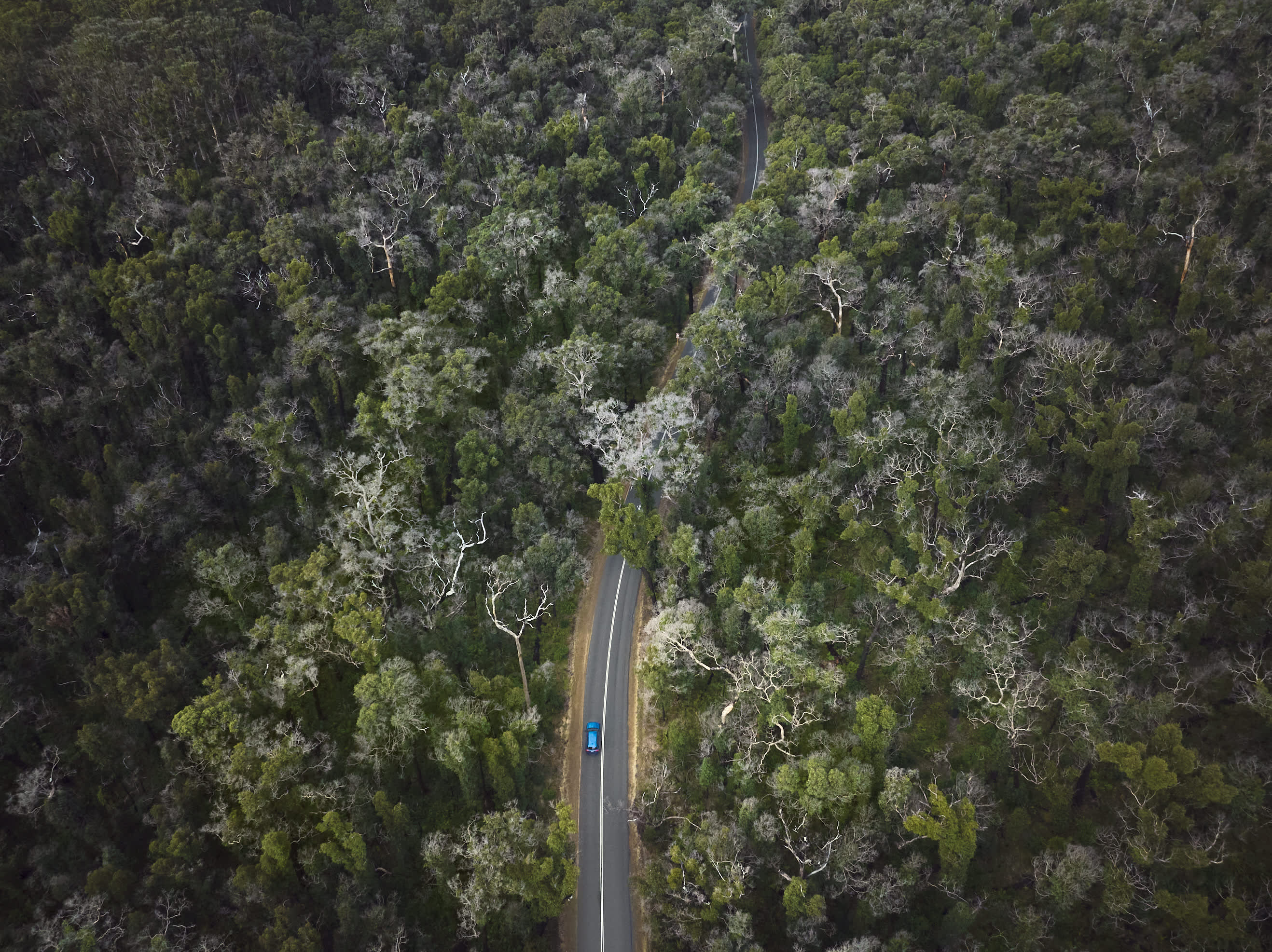 Aerial view of a winding two-lane road cutting through a dense forest, with a small blue car driving along the centre of the tree-covered landscape.