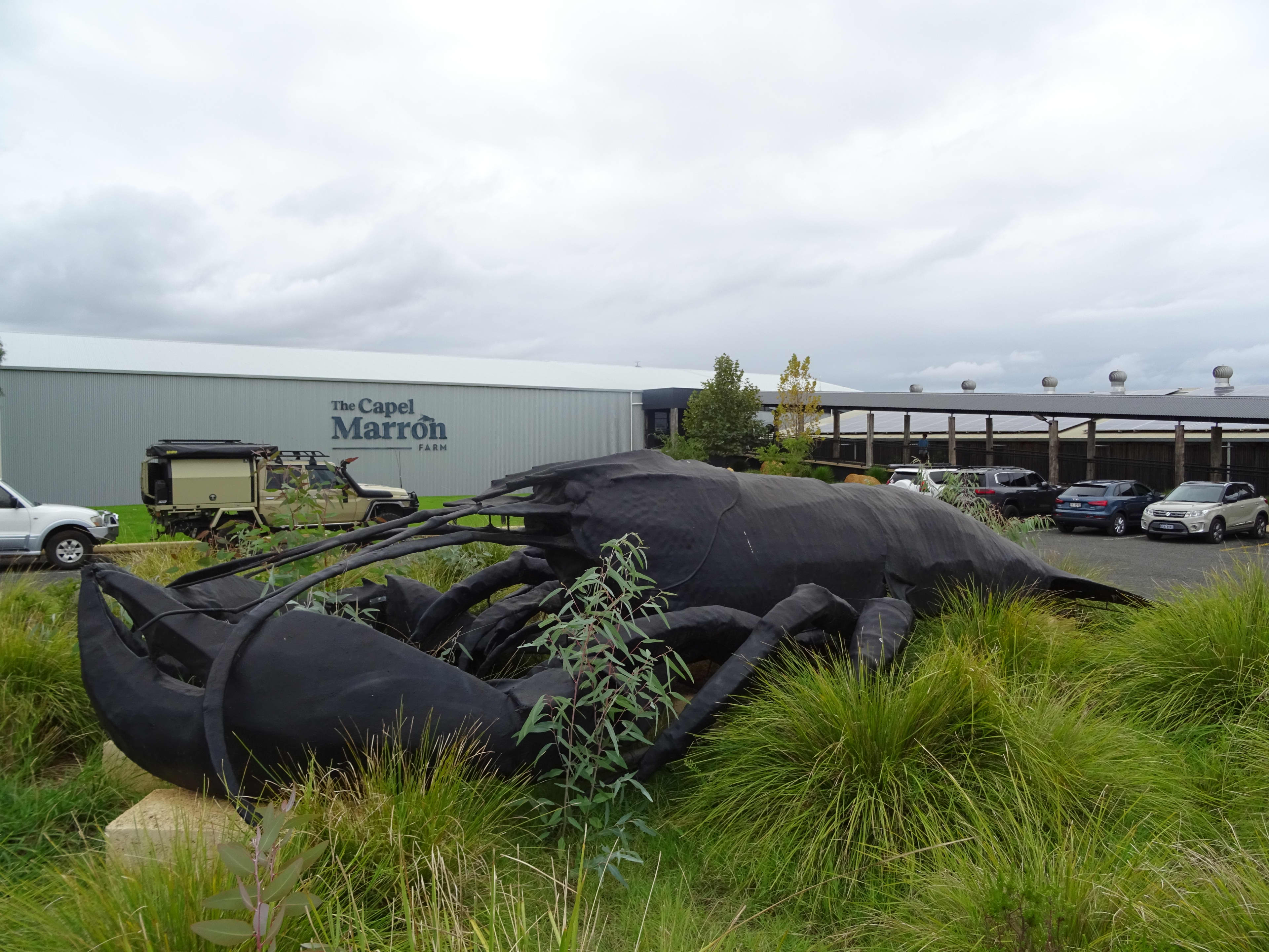 An outdoor shot of a giant, black sculpture of a marron (freshwater crayfish) resting in a grassy garden bed. In the background, a large metal building displays the sign "The Capel Marron Farm." Several parked cars and an off-road vehicle are visible under an overcast sky.