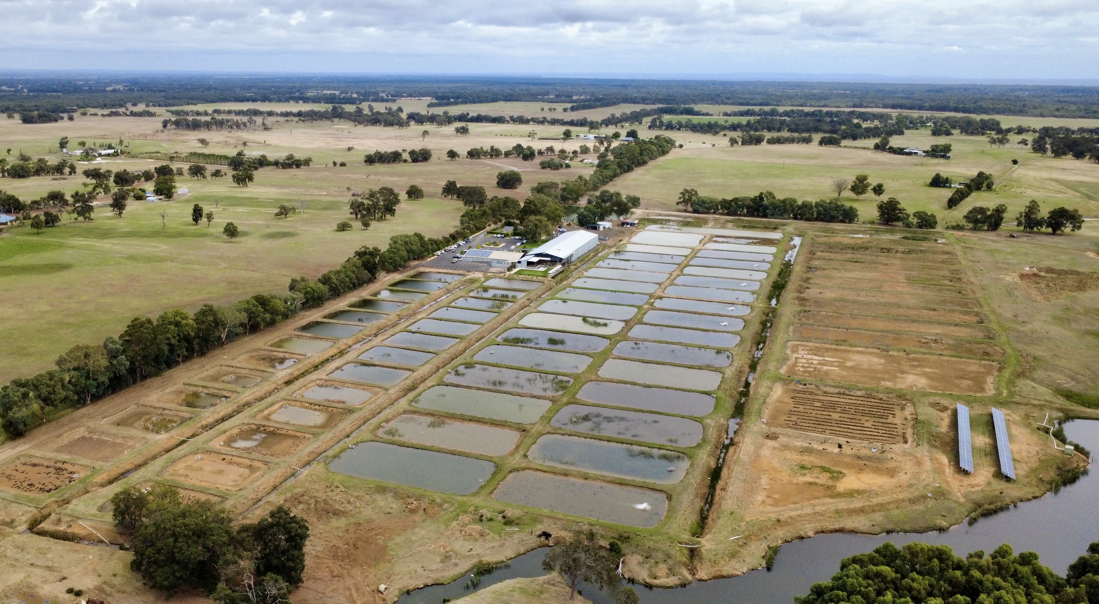 An aerial view of an aquaculture farm featuring rows of rectangular earthen ponds filled with water. A large shed-like building sits on the left side next to a patch of green grass. In the background, open fields and dense lines of trees stretch toward the horizon under a cloudy sky.
