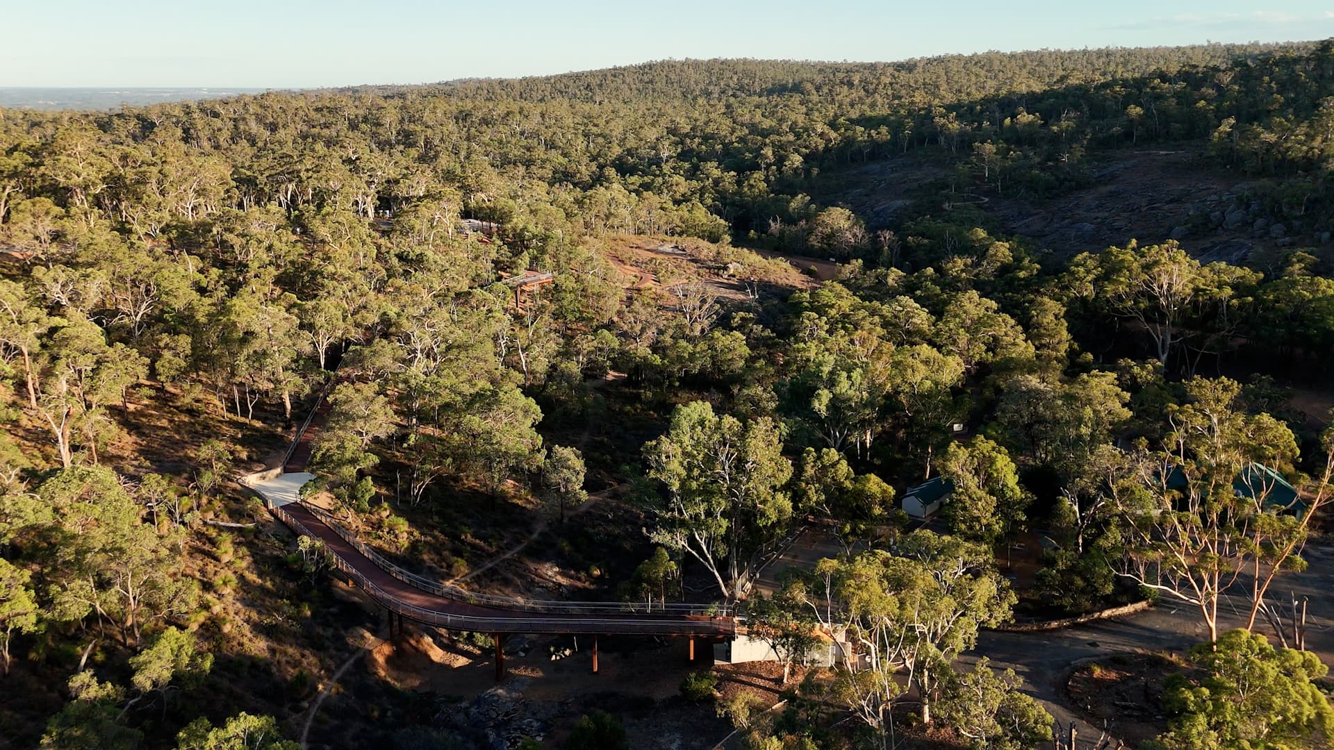 Aerial view of boardwalk weaving in between trees