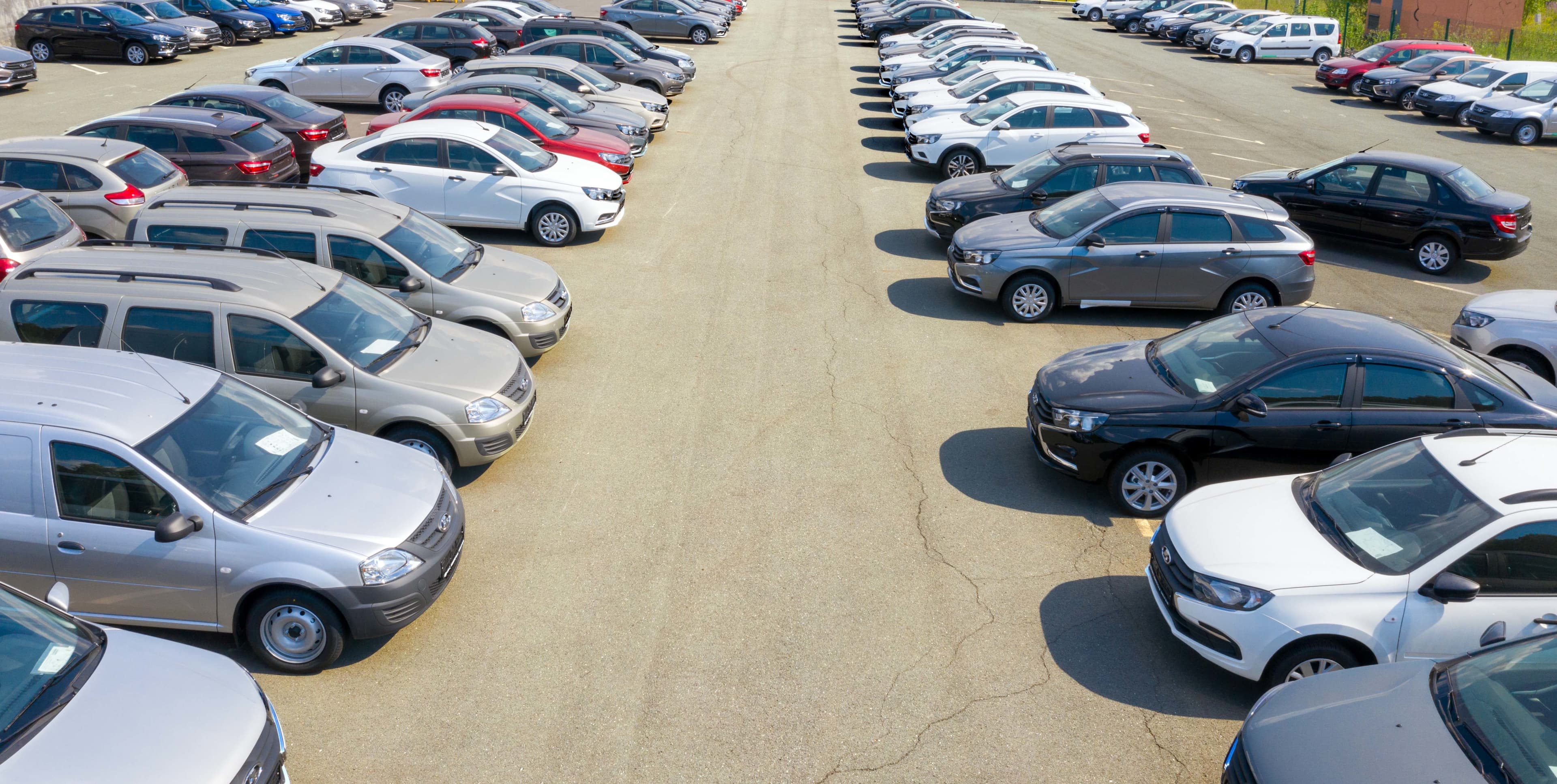 Rows of cars in a car sales yard