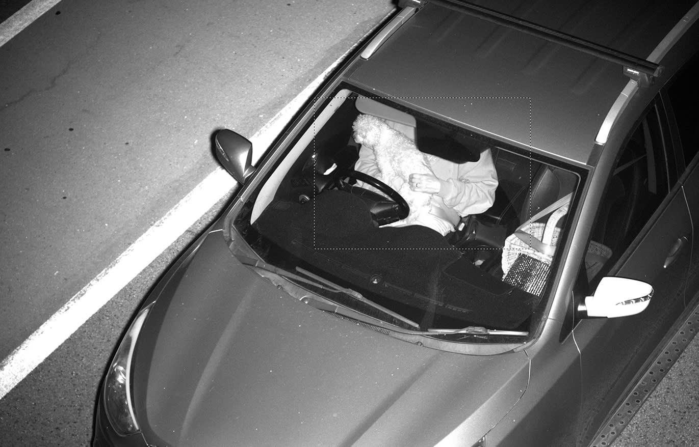 A black and white image from a freeway camera showing a driver with a dog on their lap