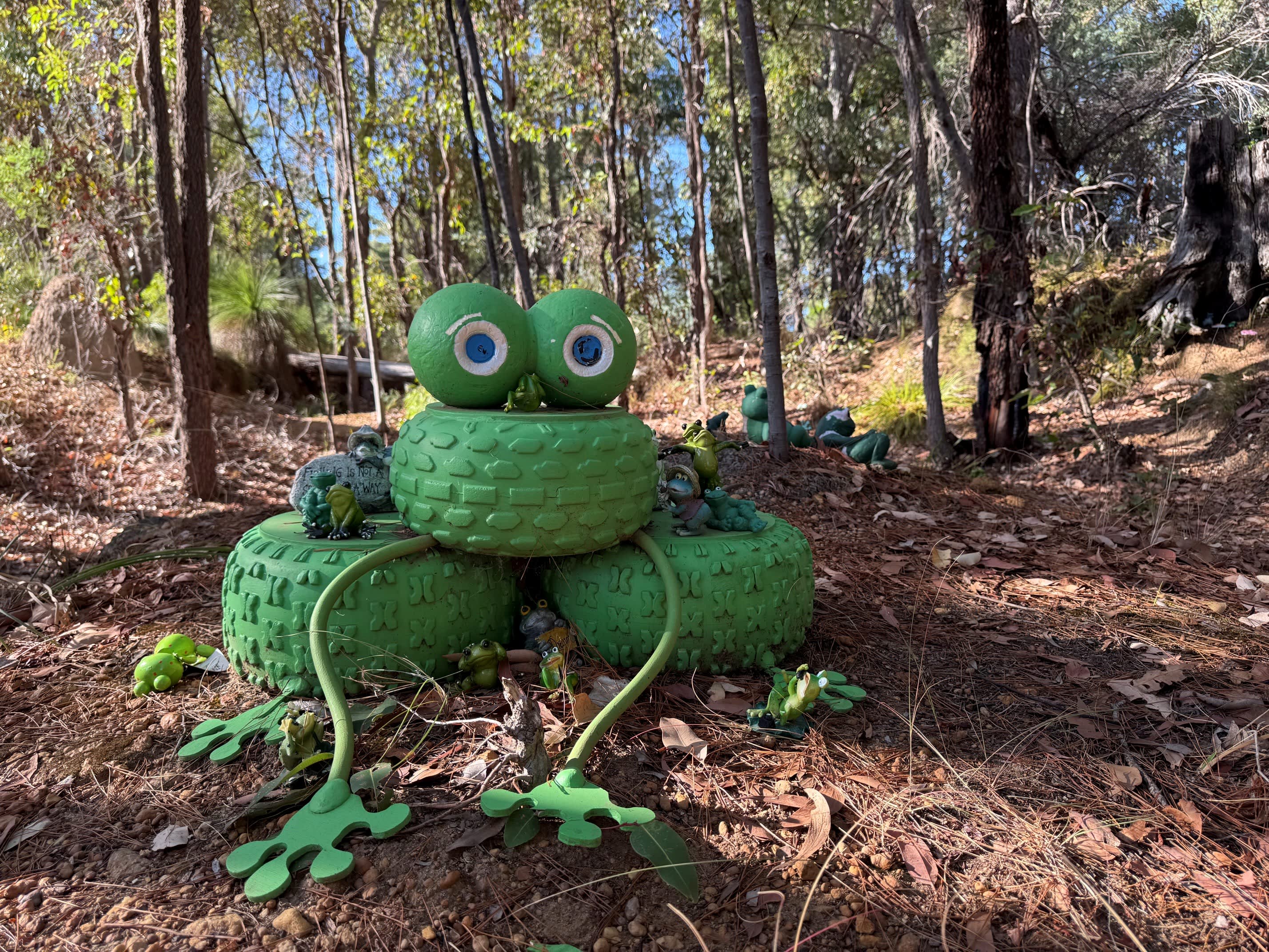 Big green frog in forest made of tyres with big eyes