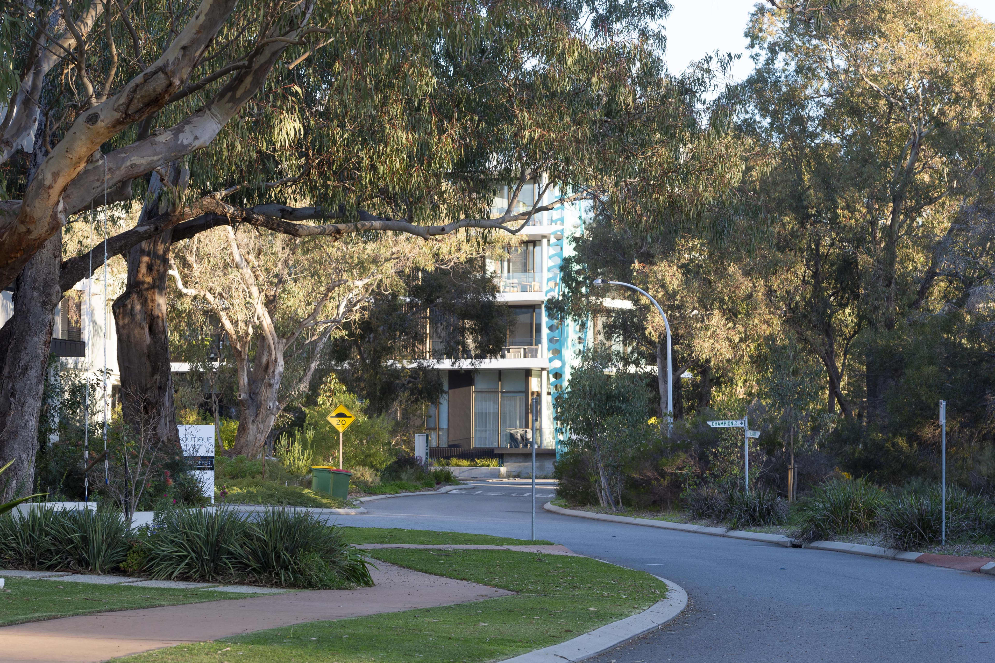 A local street in Perry Lakes