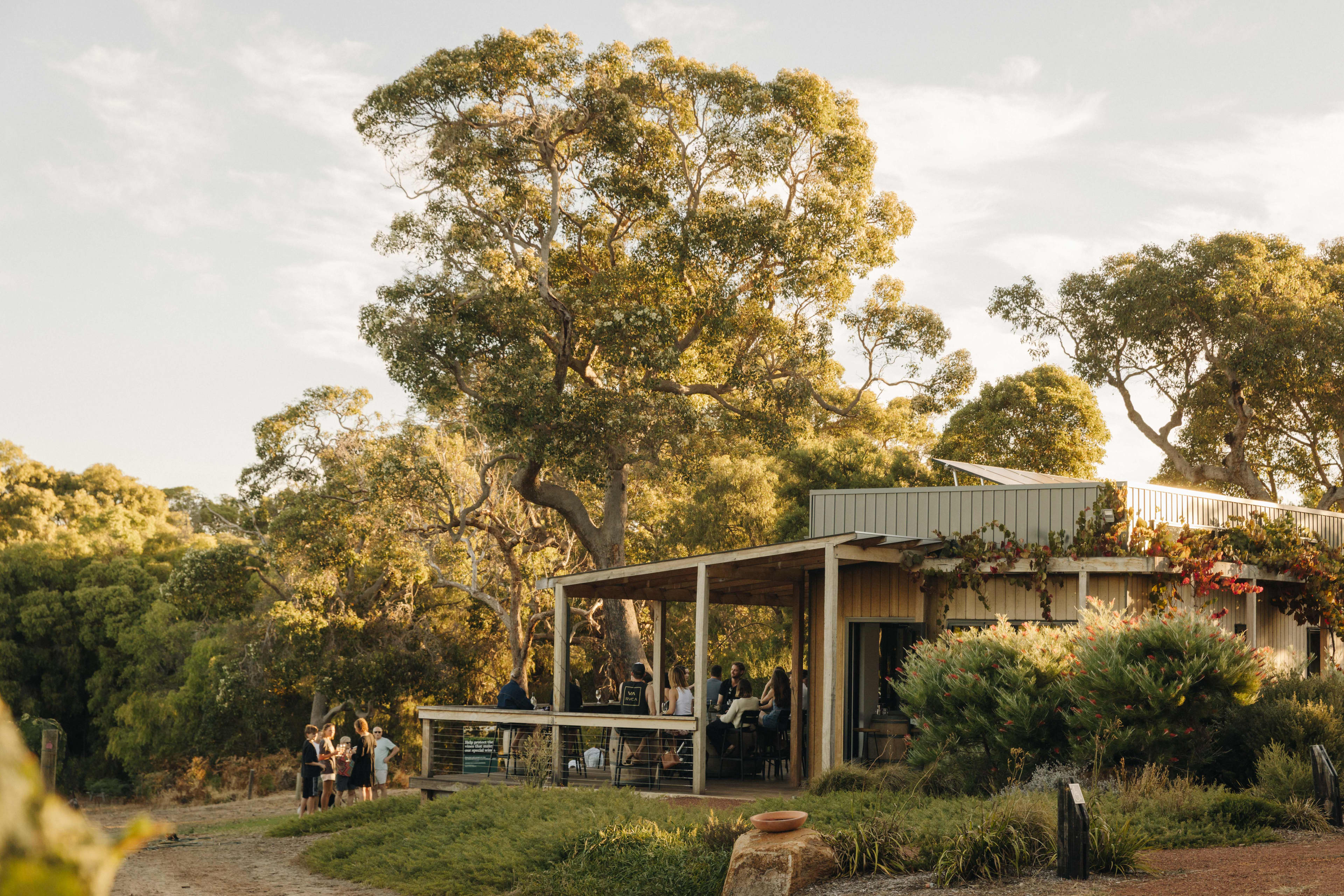 Winery in bushland with outdoor deck