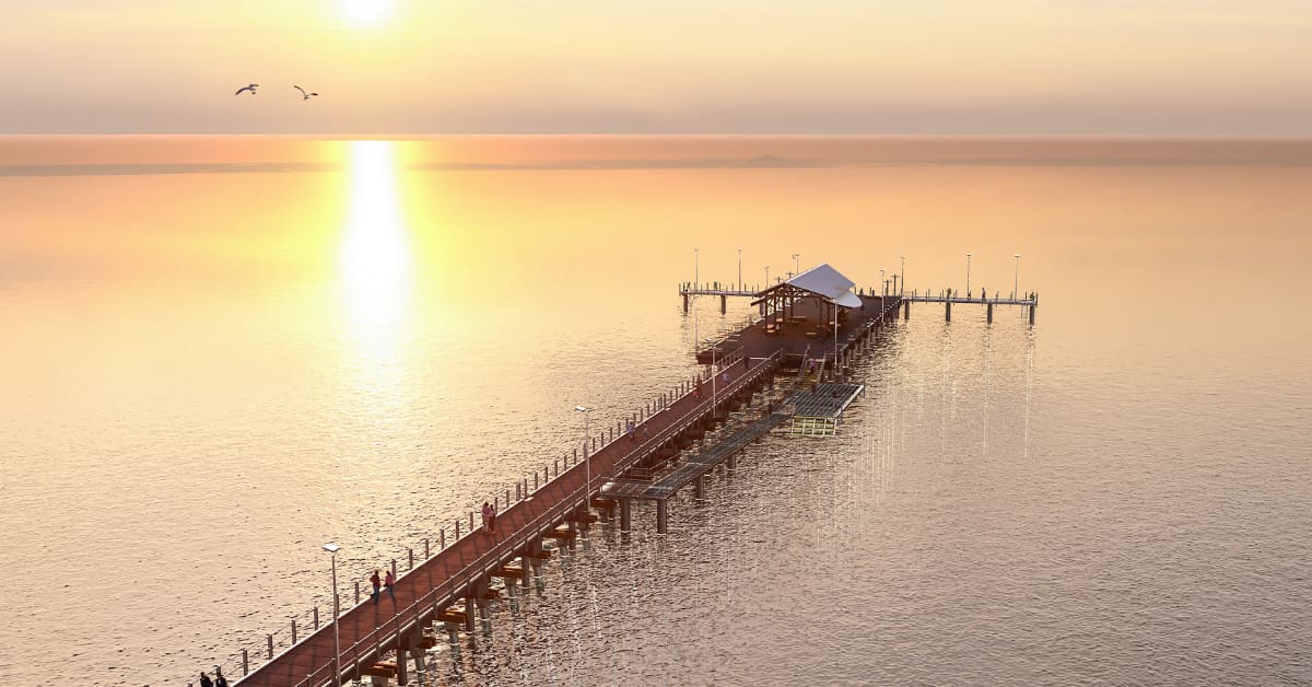 Artist impression of long jetty at sunset with T Head.