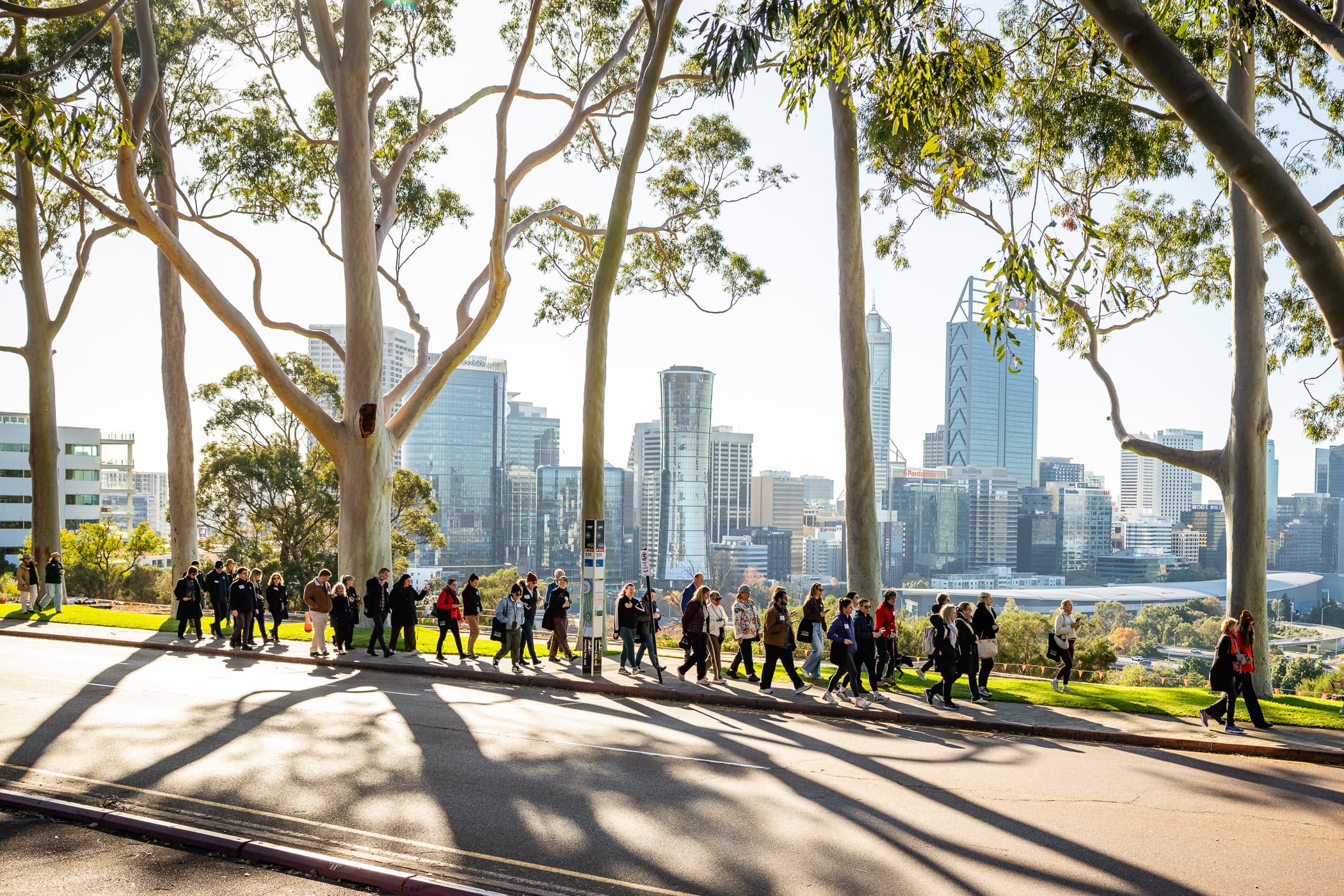A large group of people walks along a paved hillside path framed by tall, slender eucalyptus trees. In the background, the modern skyscrapers of a city skyline stand under a clear, bright sky, with a park slope visible below the path.