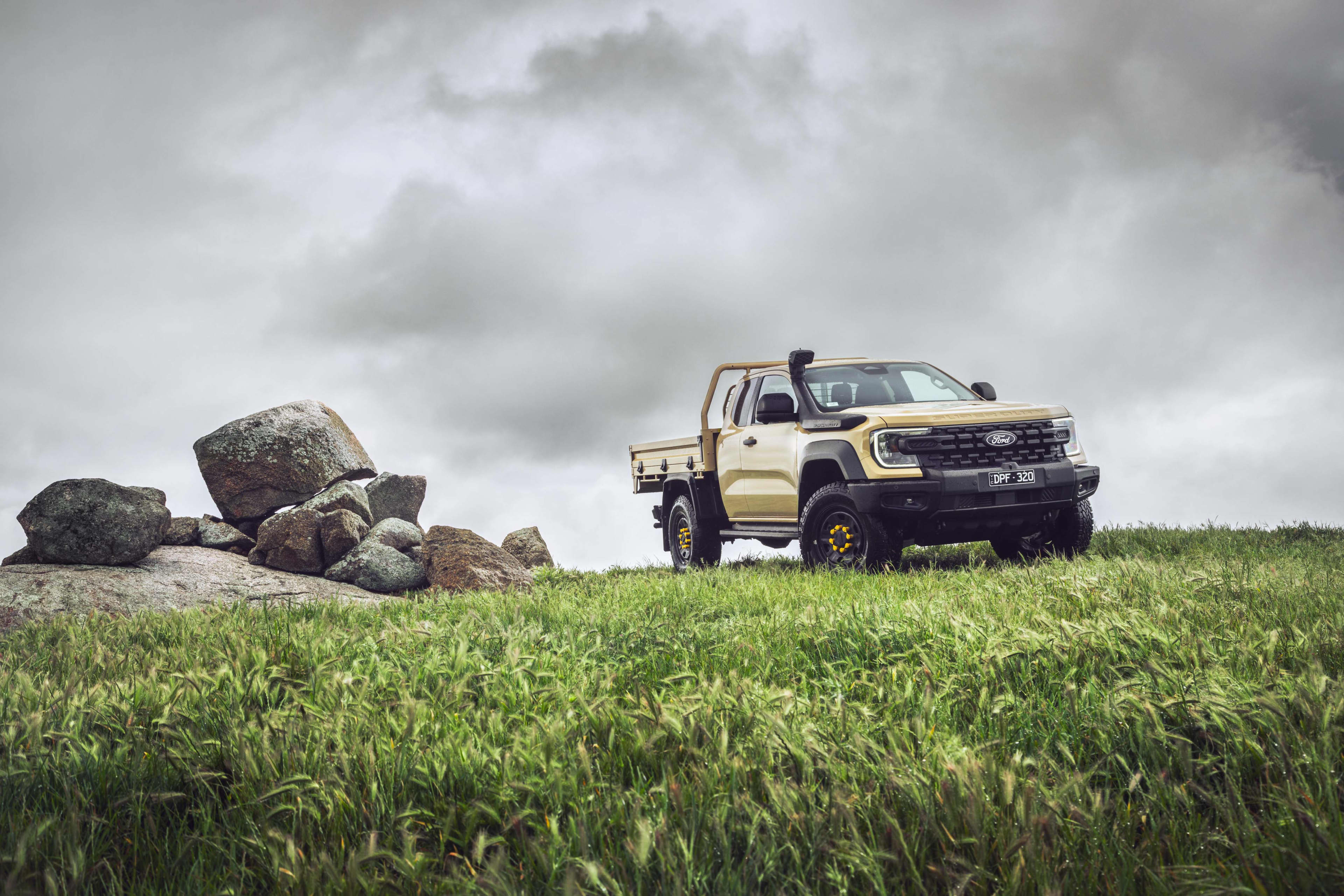 A bronze Ford Ranger in grassy paddock