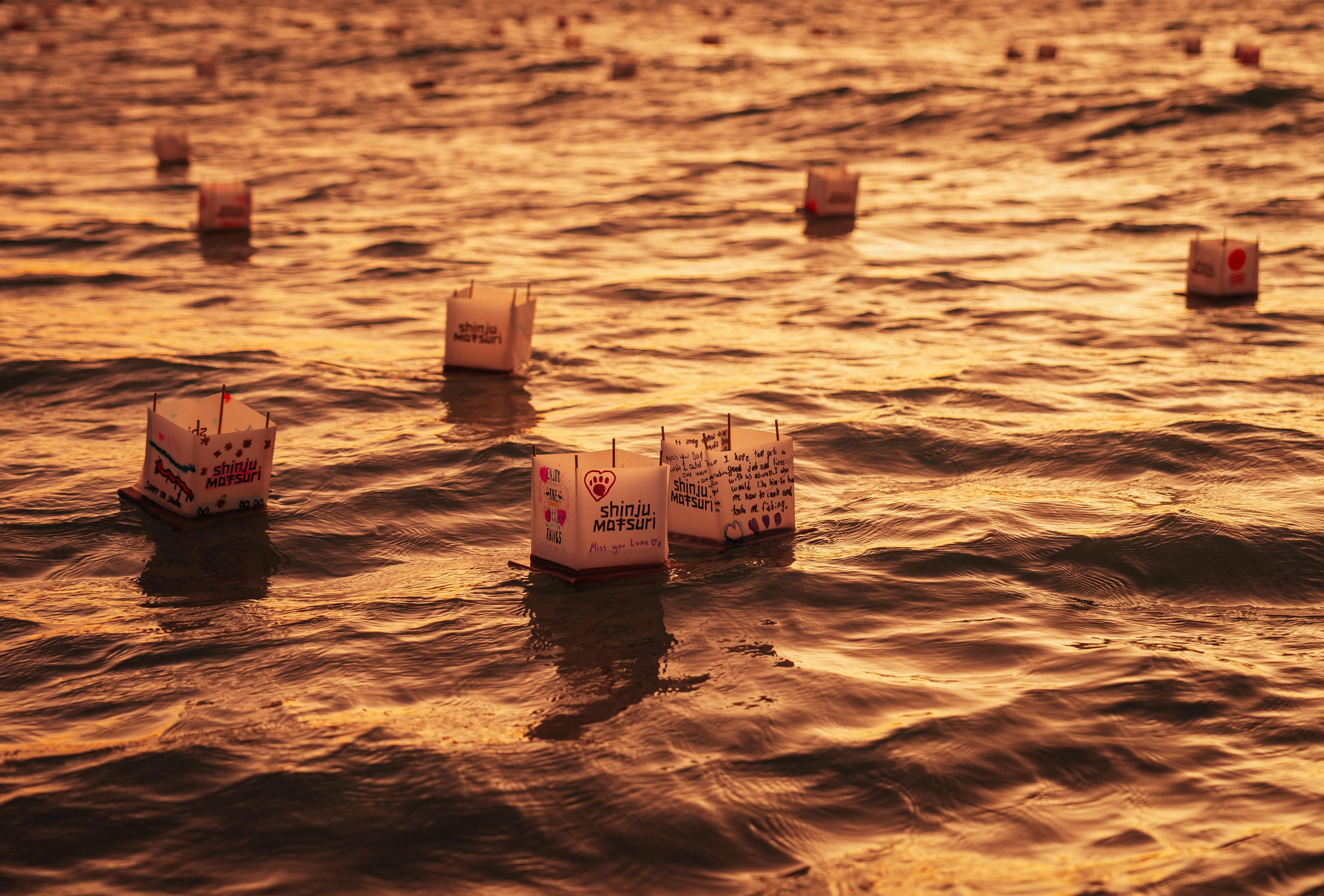 Dozens of square paper lanterns float on gentle ocean waves under a warm, golden sunset. The lanterns are white with handwritten messages and logos that read "Shinju Matsuri," with some featuring small drawn hearts and patterns. The water reflects the vibrant orange and amber hues of the sky, creating a serene and glowing atmosphere.