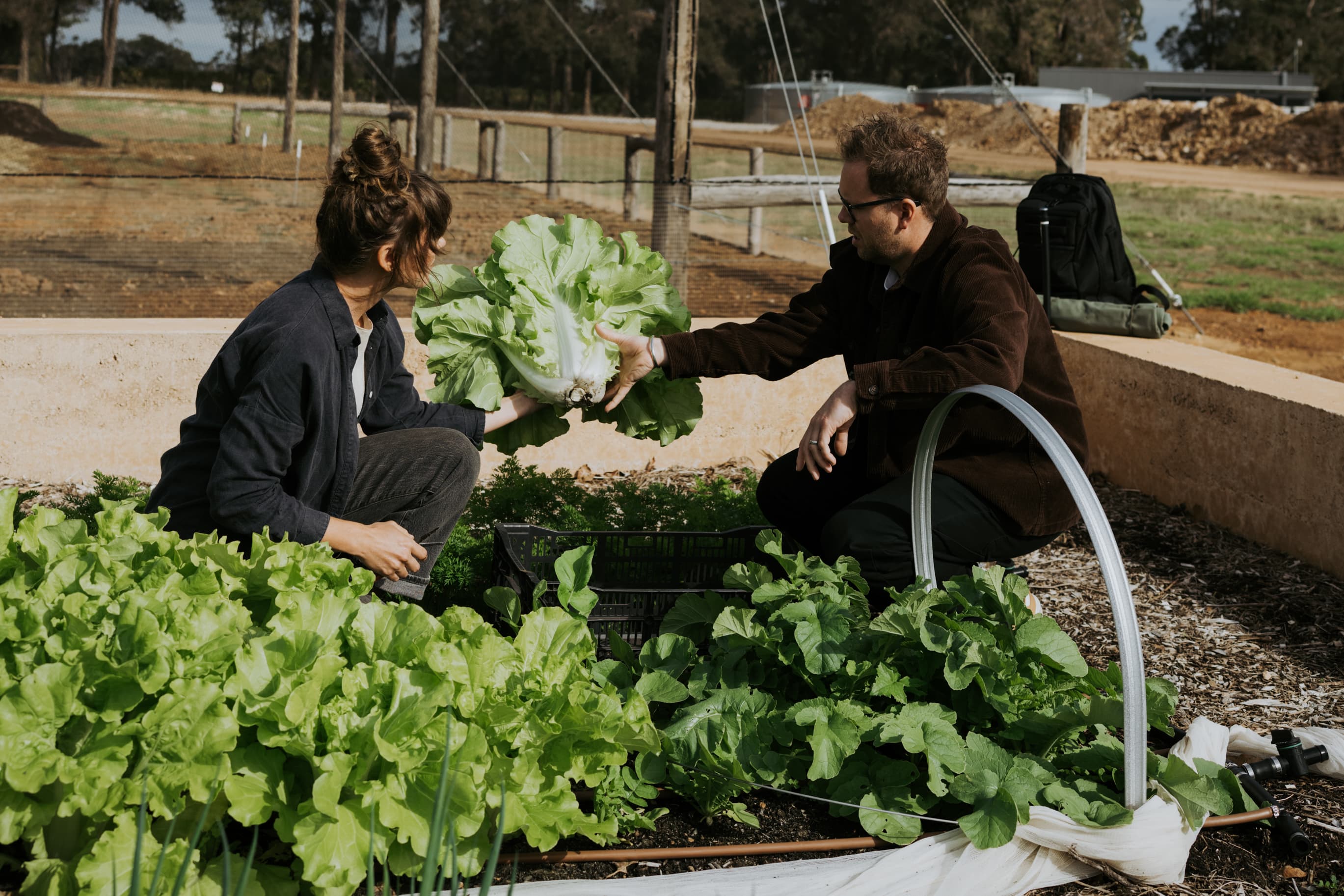 Market gardener and chef outside in vegetable gardens