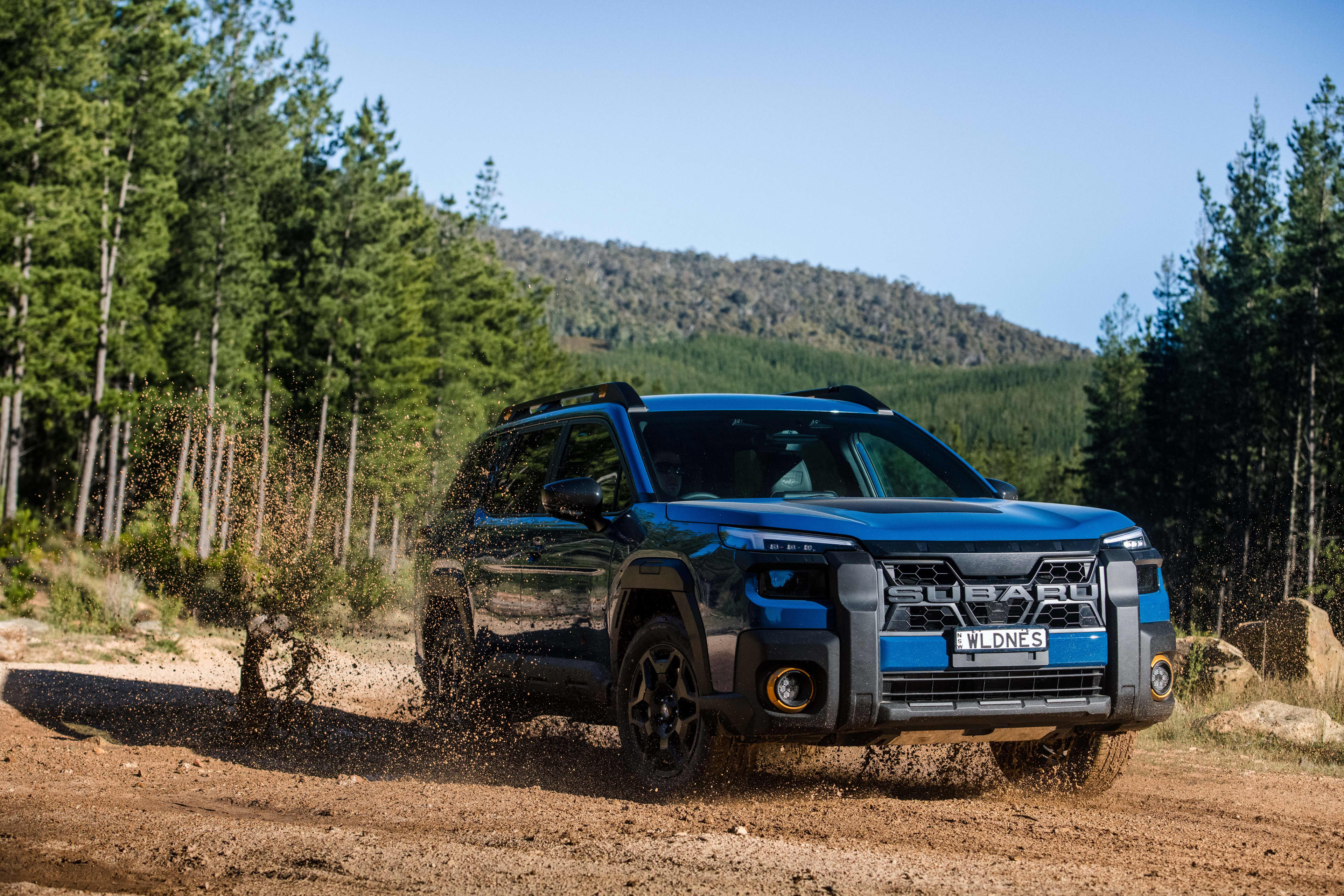 A blue Subaru Outback Wilderness flicking up dirt while off-road driving in a forest.