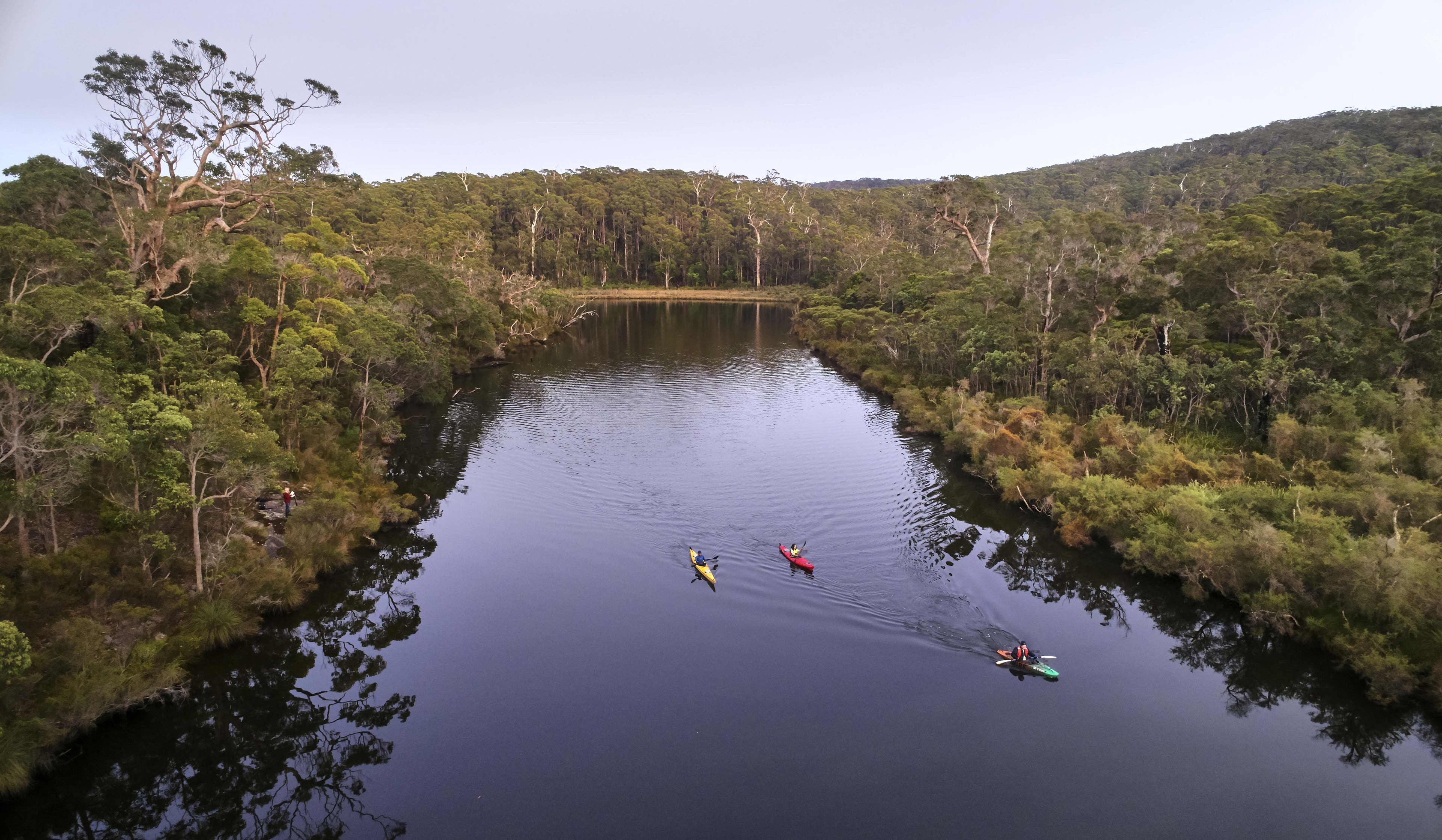 Kayakers paddling on the Nornalup Inlet in the Walpole-Nornalup National Park.