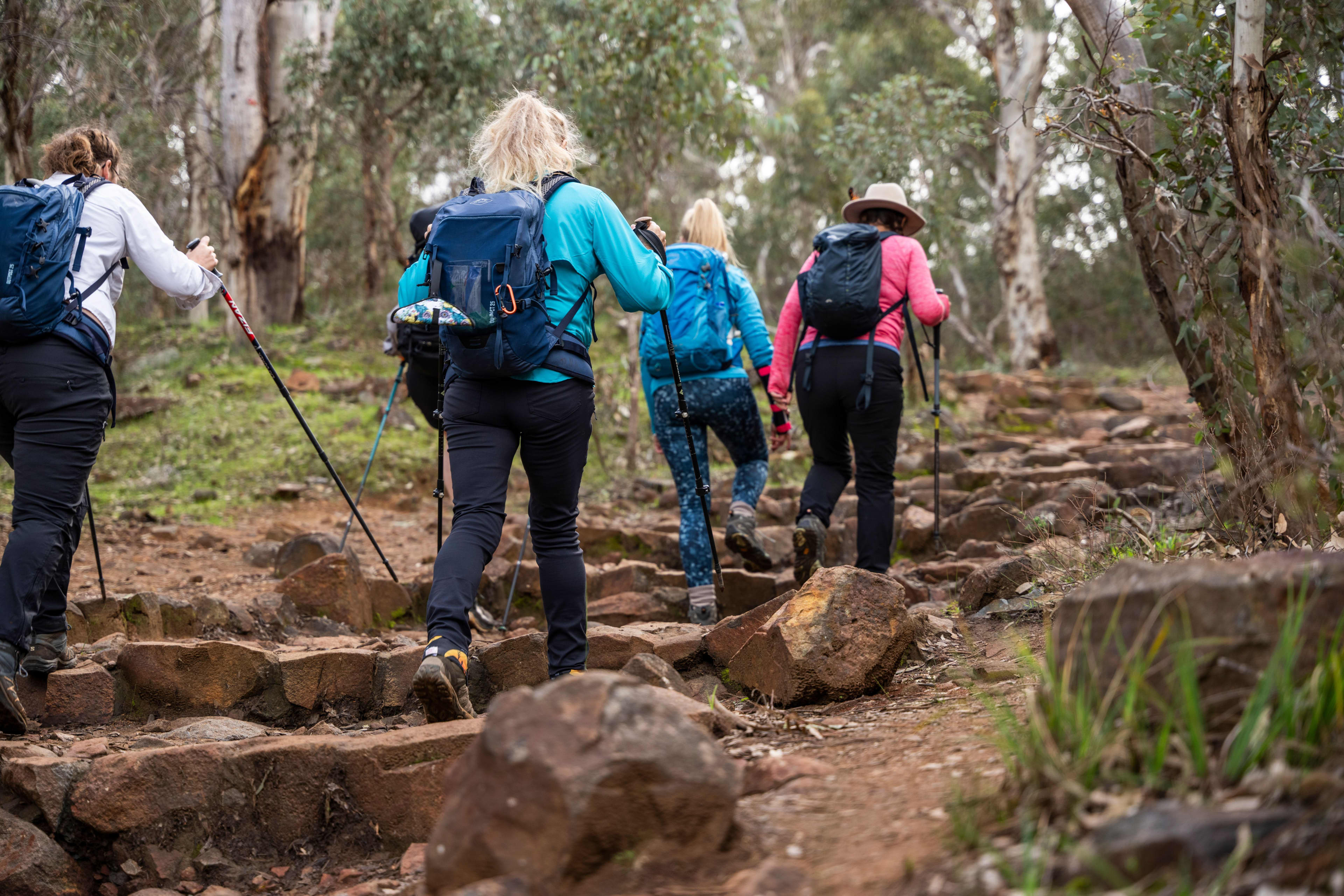 Four hikers wearing backpacks and using trekking poles ascend a rugged, rocky trail through a eucalyptus forest.