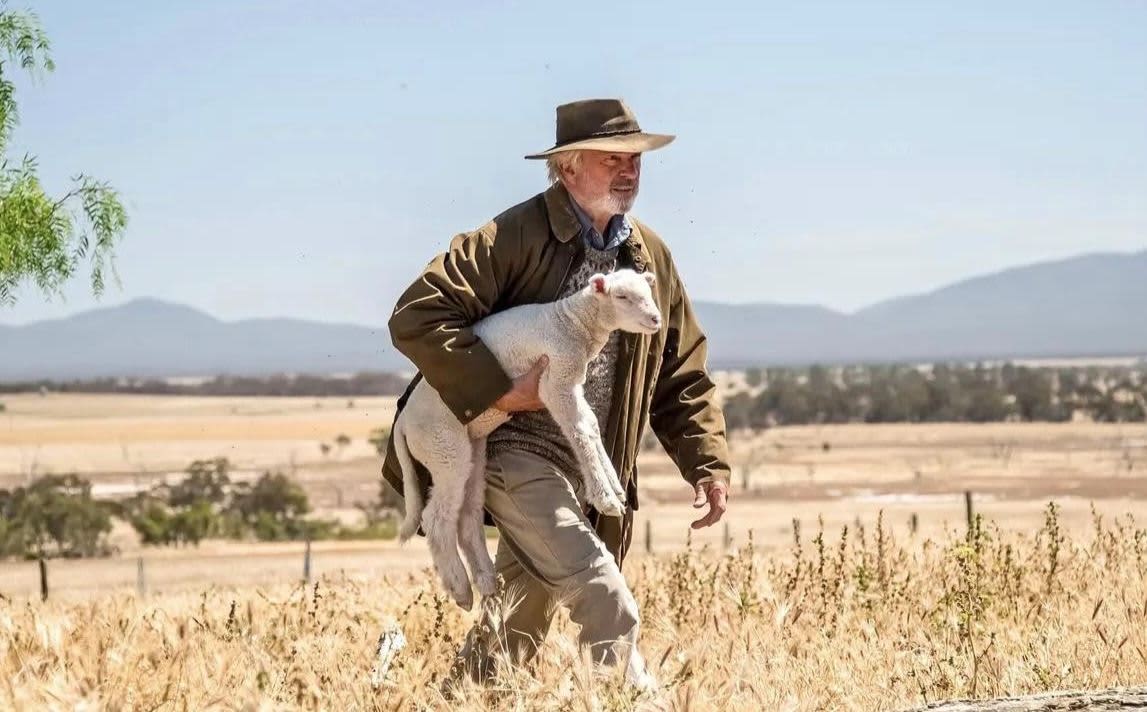 An older man with a grey beard and a wide-brimmed brown hat walks through a dry, golden, grassy field while carrying a small white lamb under his arm.