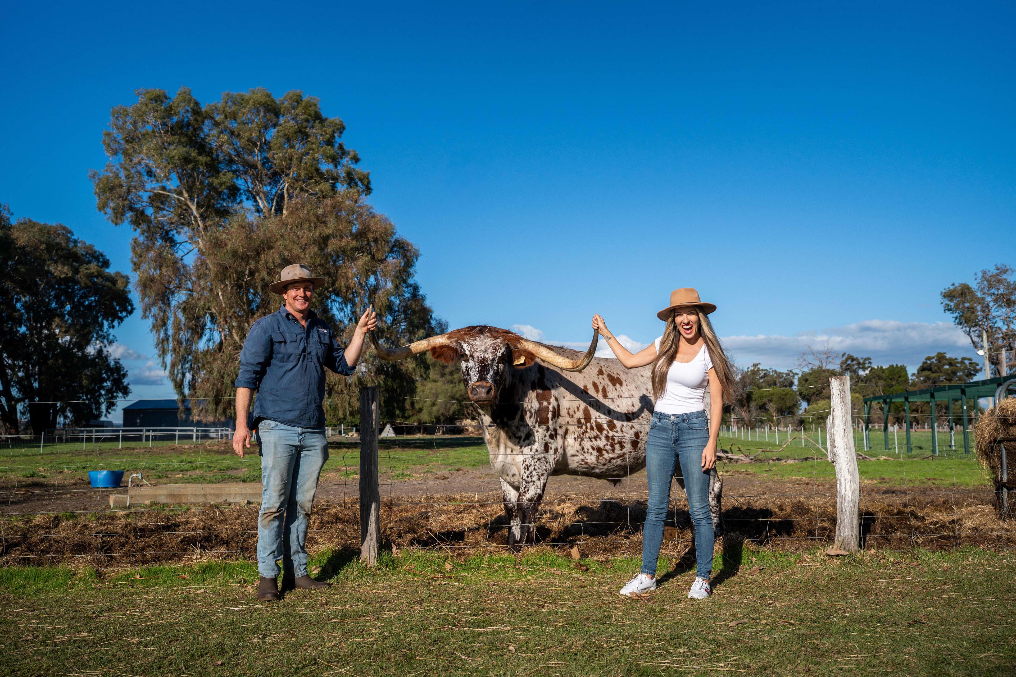 A man and a woman wearing hats stand on either side of a Texas Longhorn cow, holding the tip of its horns, in a country paddock.