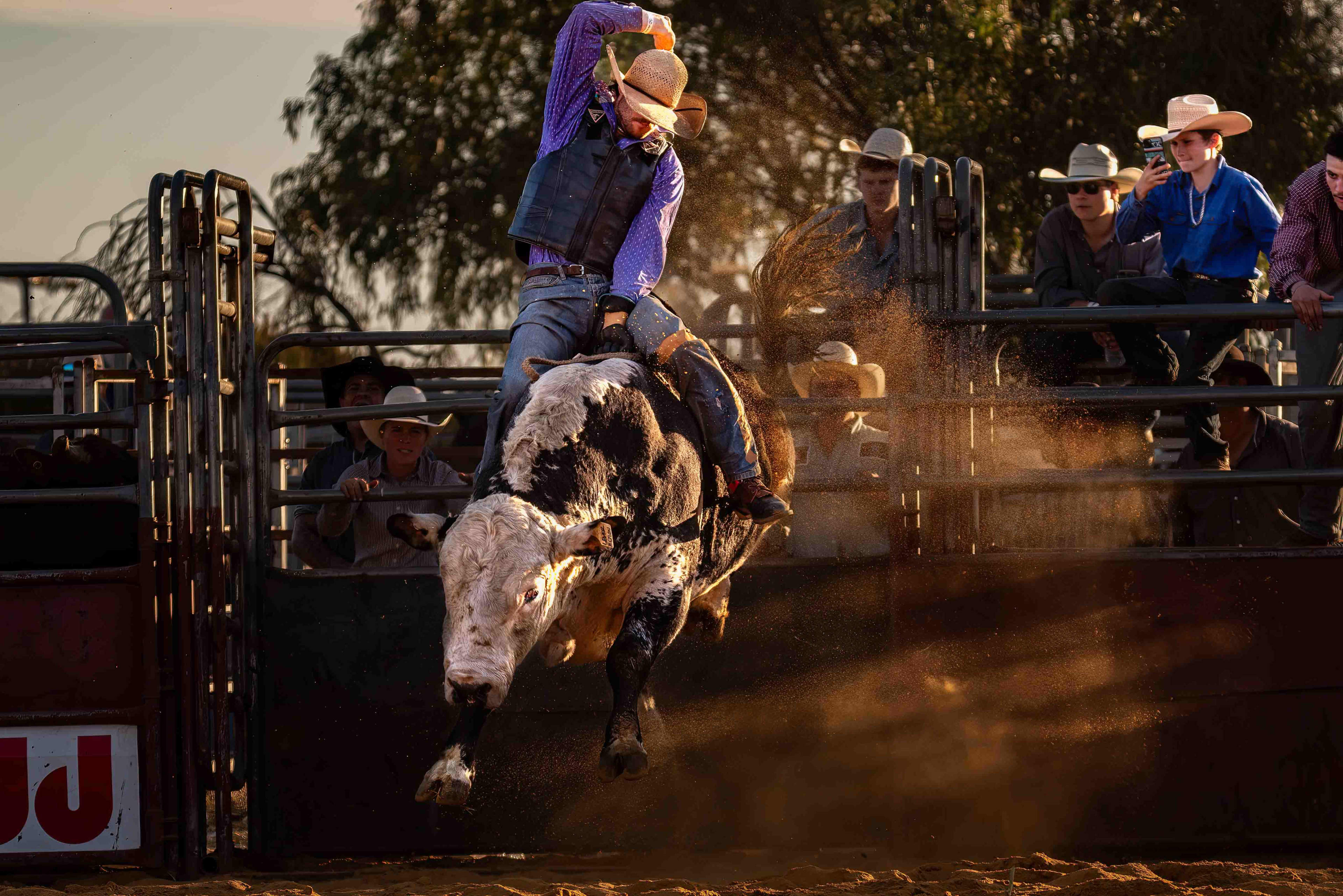 A man wearing a purple polka dot shirt with a straw wide brimmed hat, riding a black and white bull with red dirt and competition stands as the backdrop.