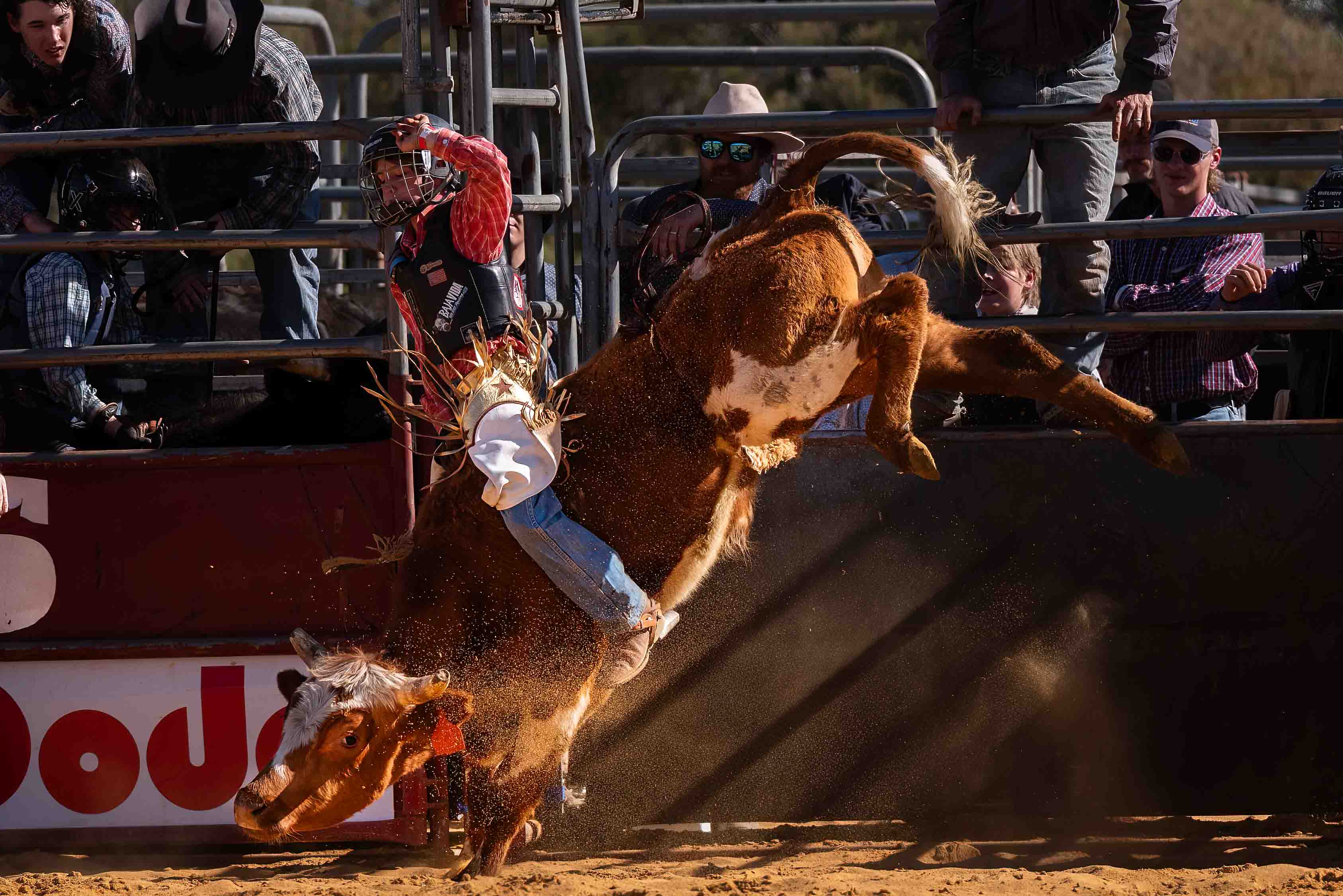 An image of a man wearing a helmet and red long-sleeved shirt, riding a brown bull with competitors standing in the background.
