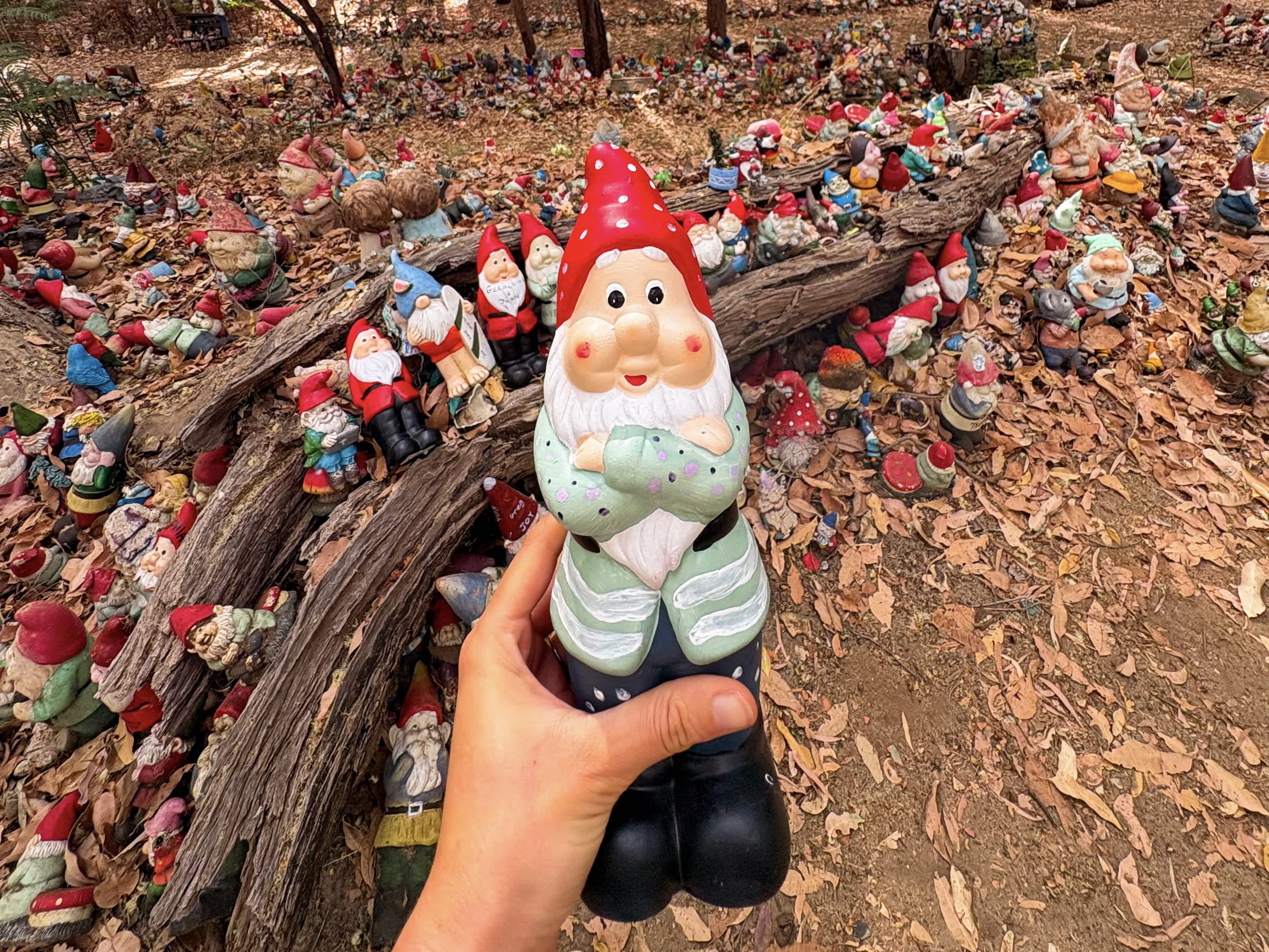 An image of a gnome with a spotty red hat and green jacket held in the foreground, with an abundance of gnomes placed on the log in the background.