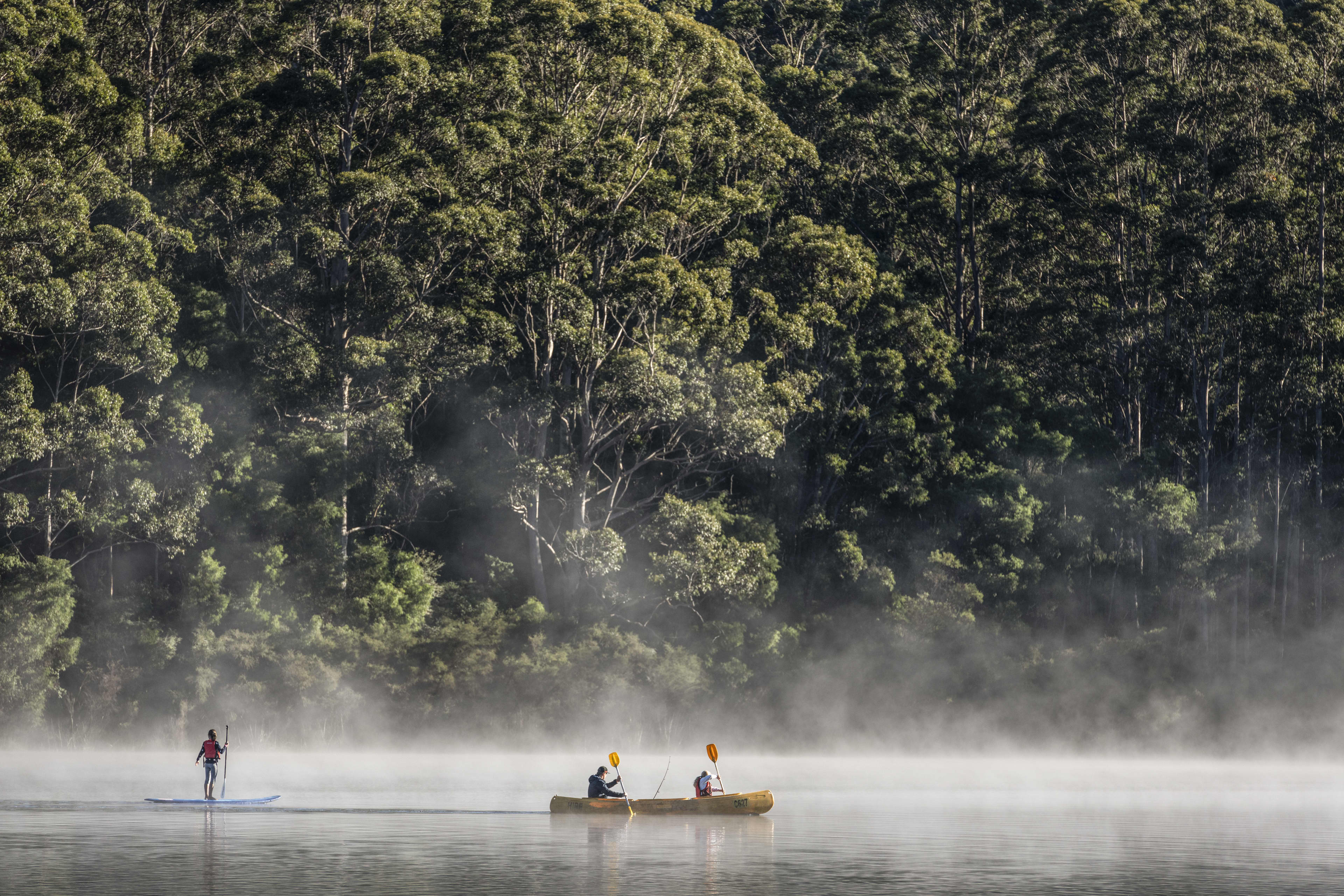 A vast misty lake with tall towering trees in the background, with a stand-up paddleboarder and two people kayaking in the lake.