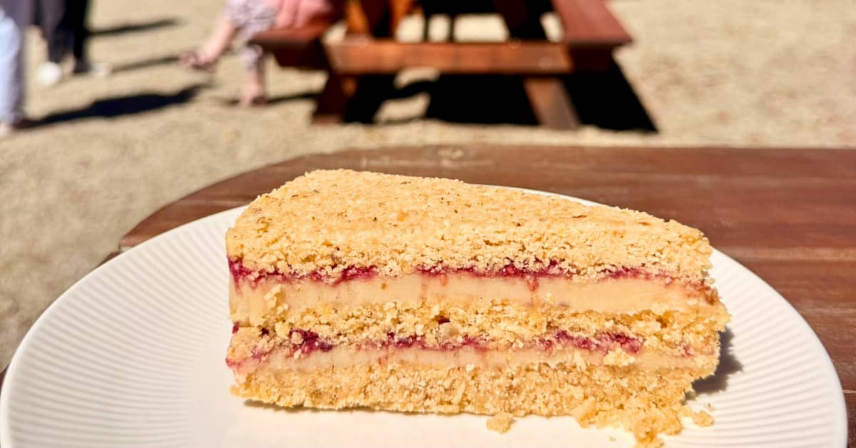 Raspberry cake slice on a plate outdoors