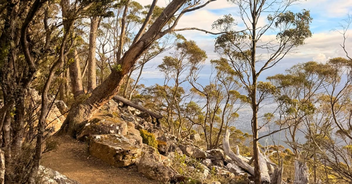 Ocean and city views from Mt Wellington