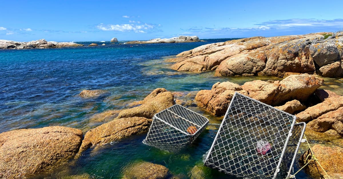Cray pots on rocks next to ocean