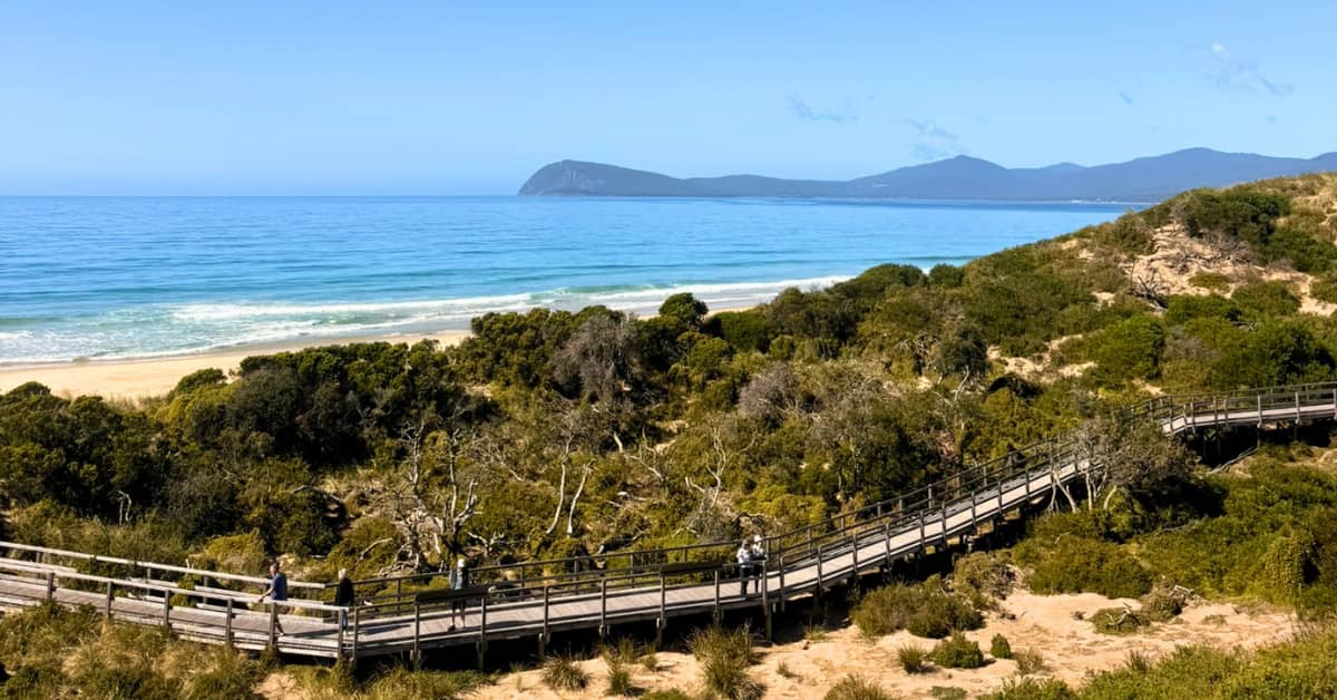 Boardwalk in bushland weaving toward ocean and white sand