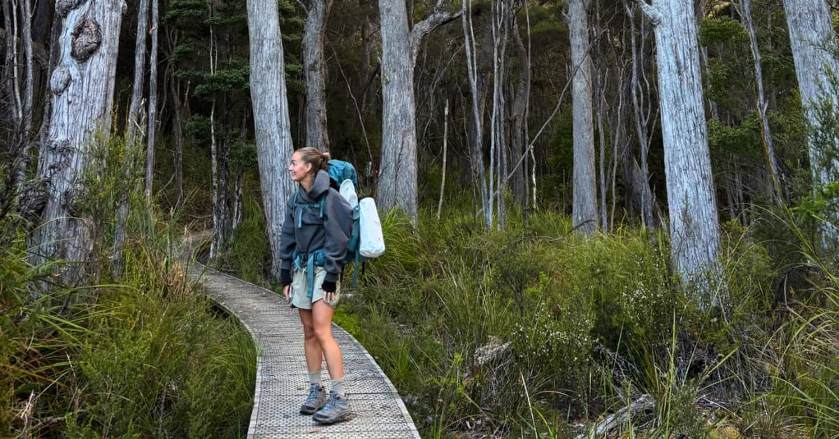 Person wearing hiking pack about to enter forest
