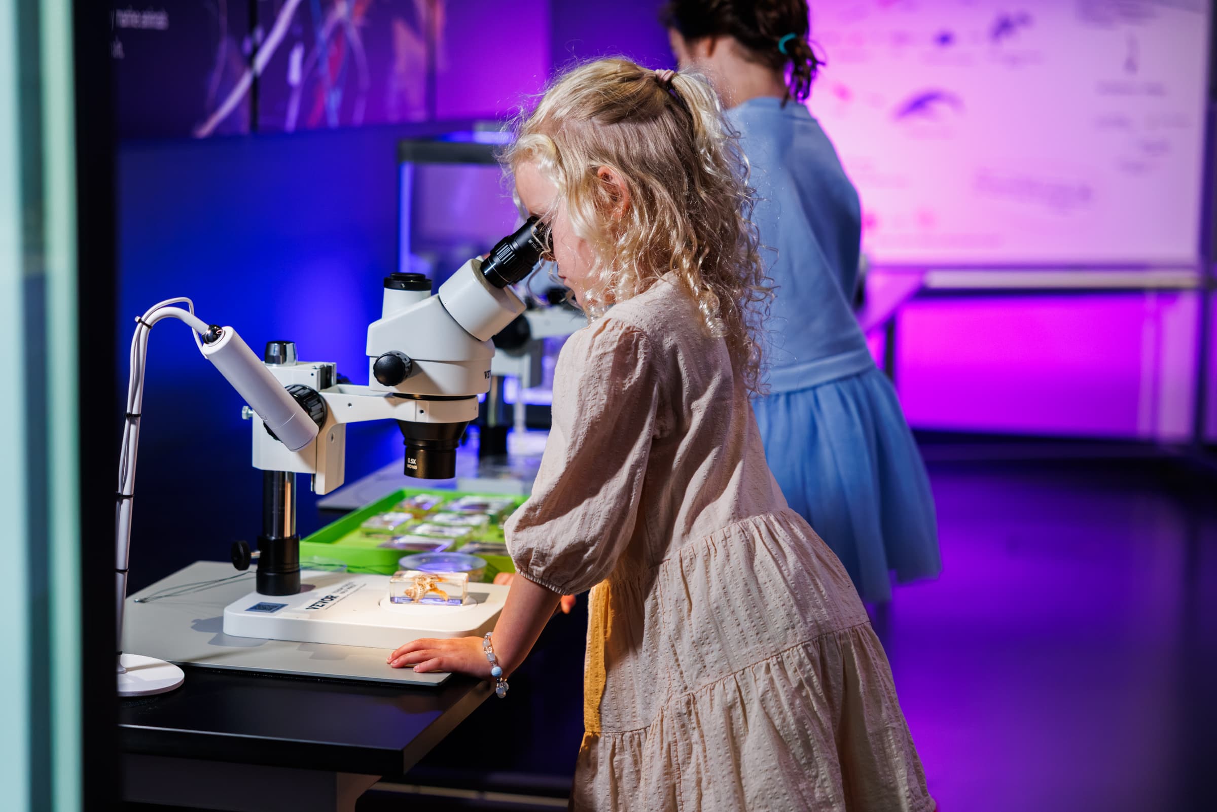 Young girl looking through microscope.