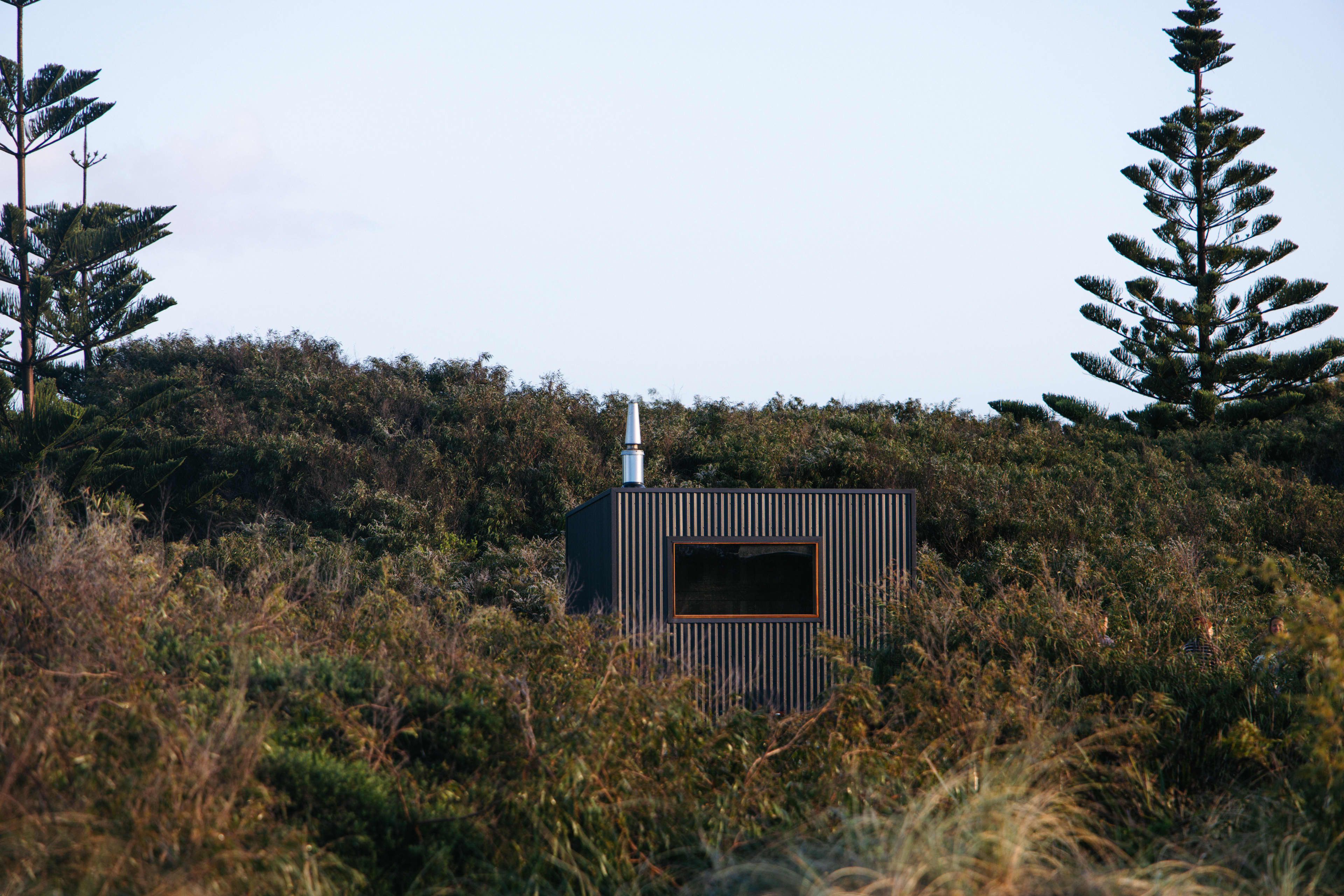 Sauna window and chimney hidden among bushland