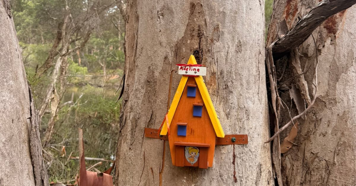 Tiny colourful door attached to tree