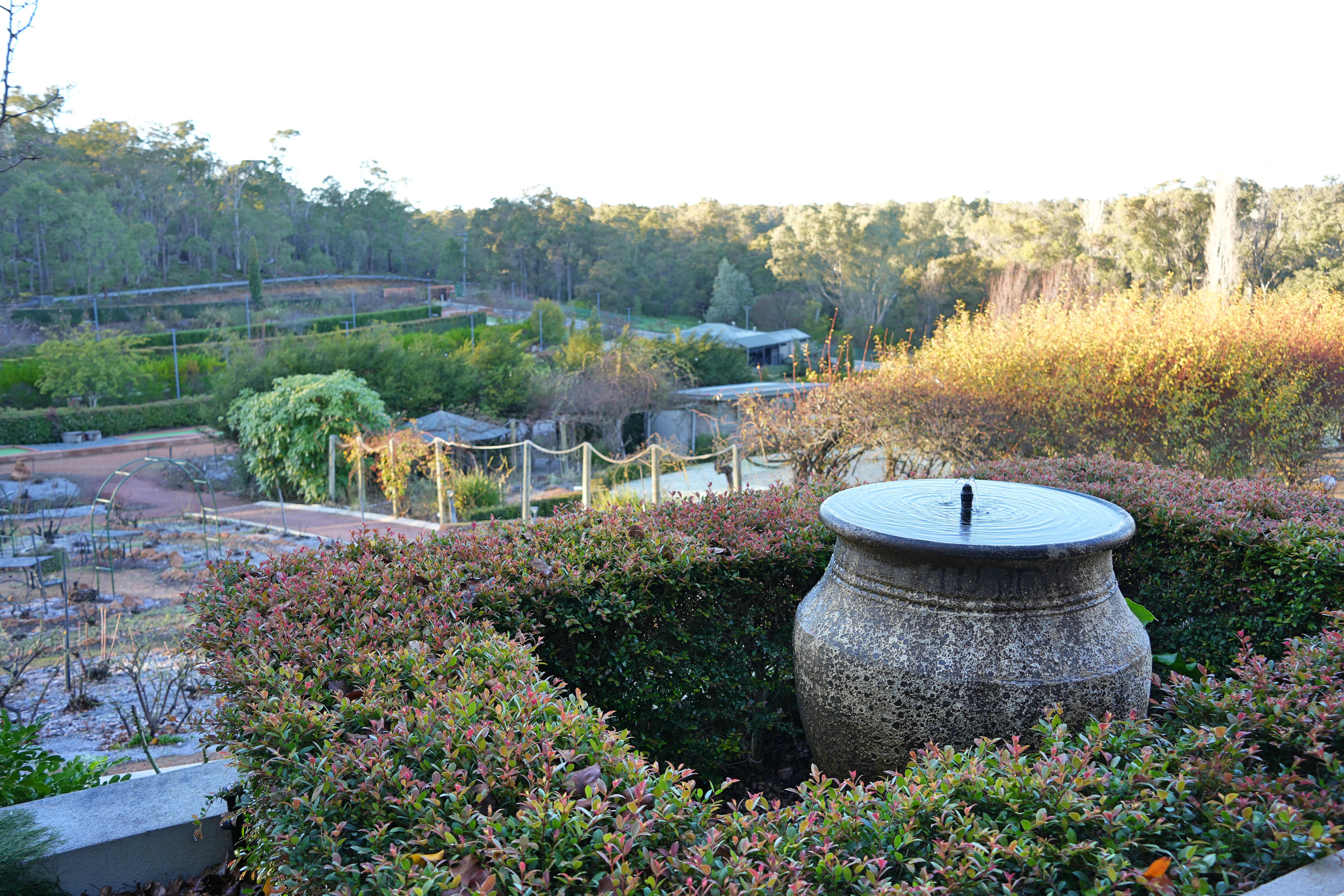 A garden scene with a water feature in the foreground surrounded by a maintained shrub.