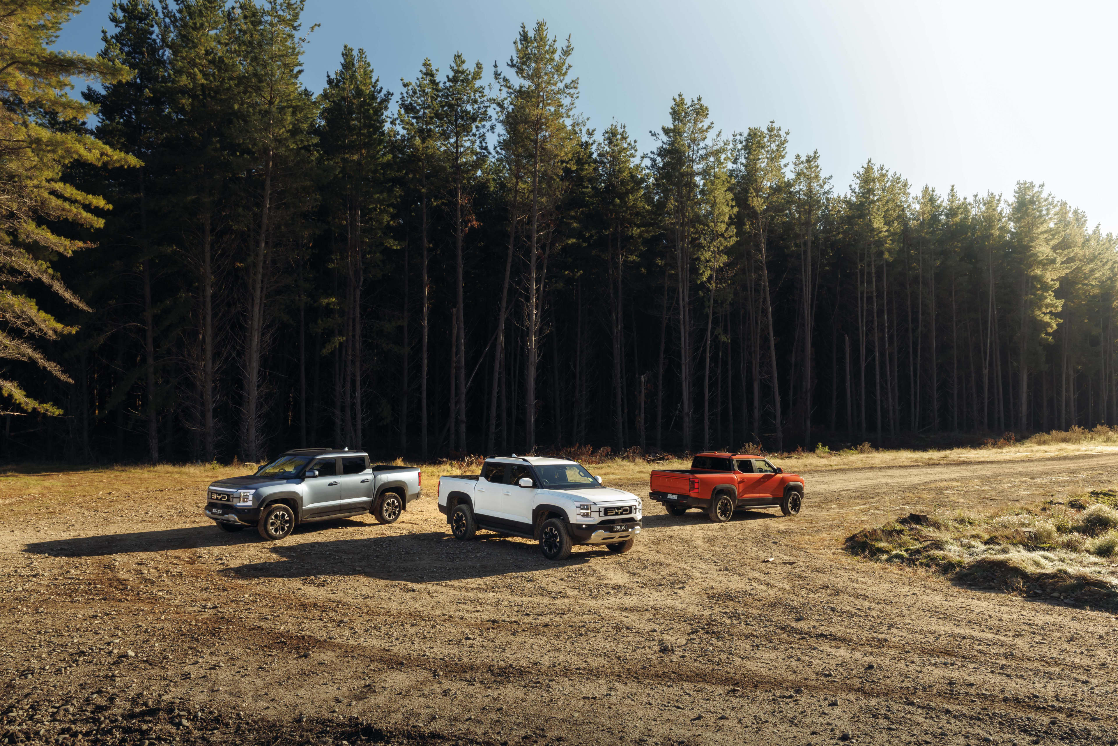 Three BYD utes, in grey, white and red, parked on a dirt road in front of a stand of tall trees.