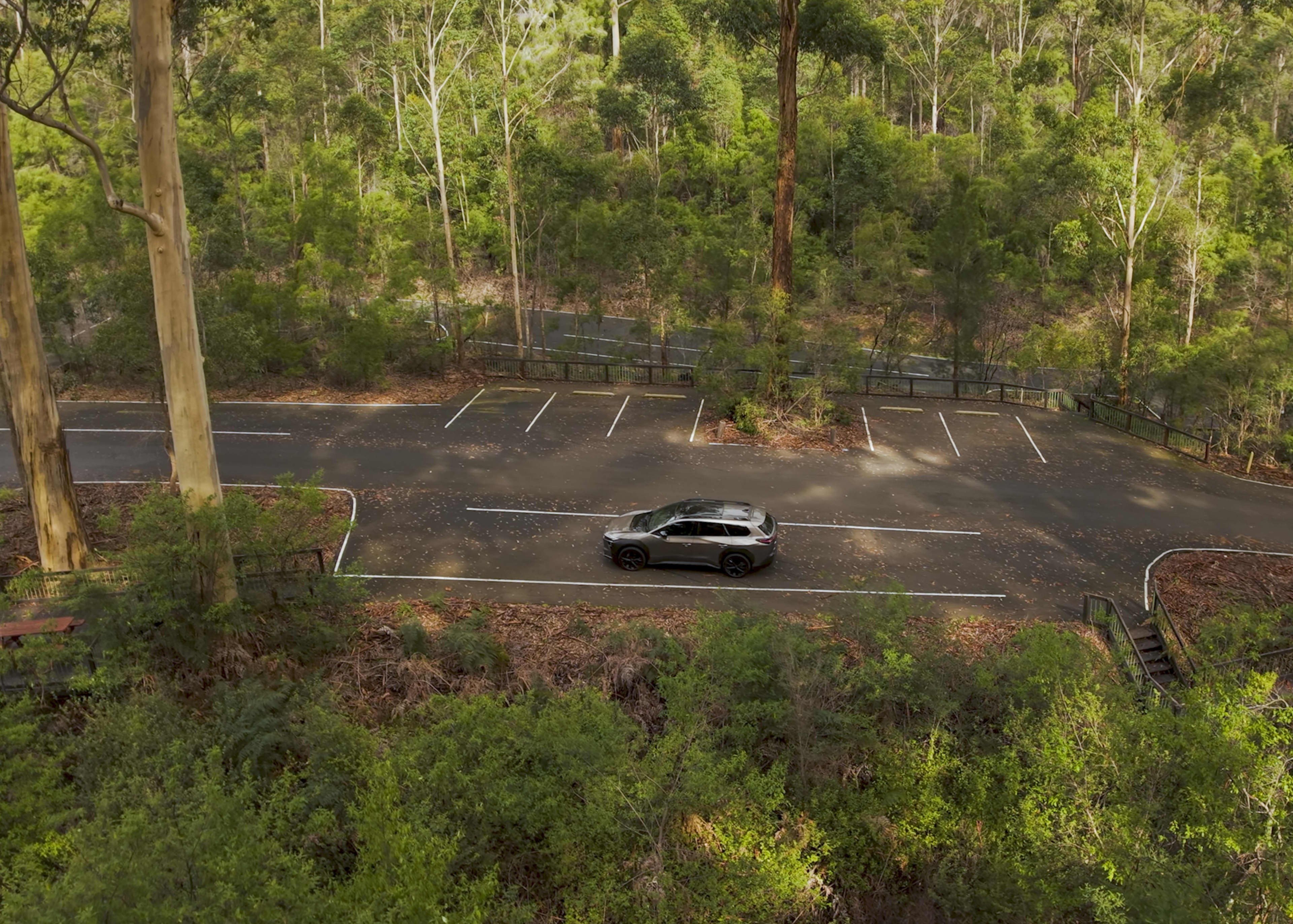 A grey EV parked in a marked bay in a carpark in a forest setting with tall trees.