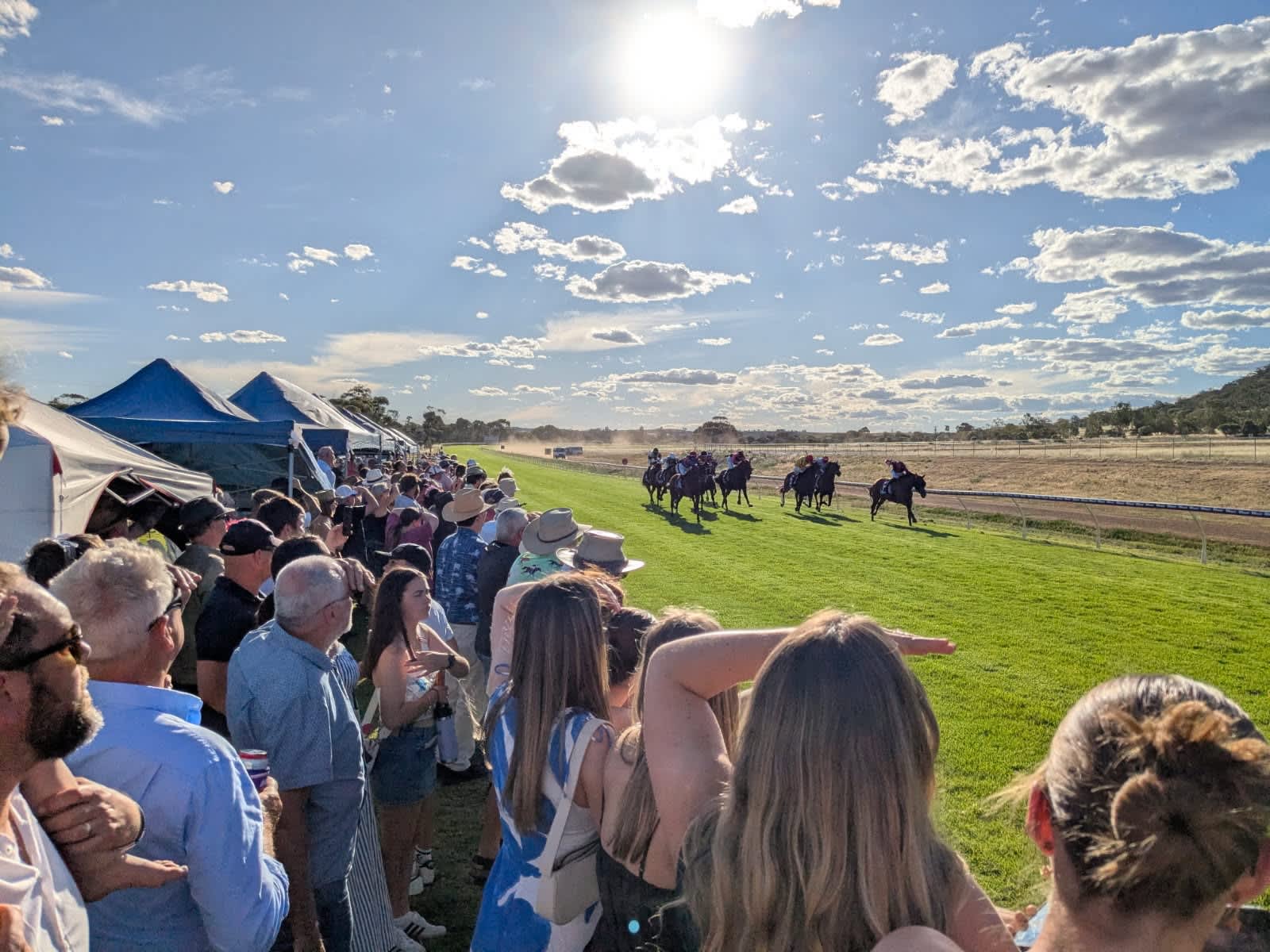 Crowd of people watching horses racing around racecourse in sunshine.