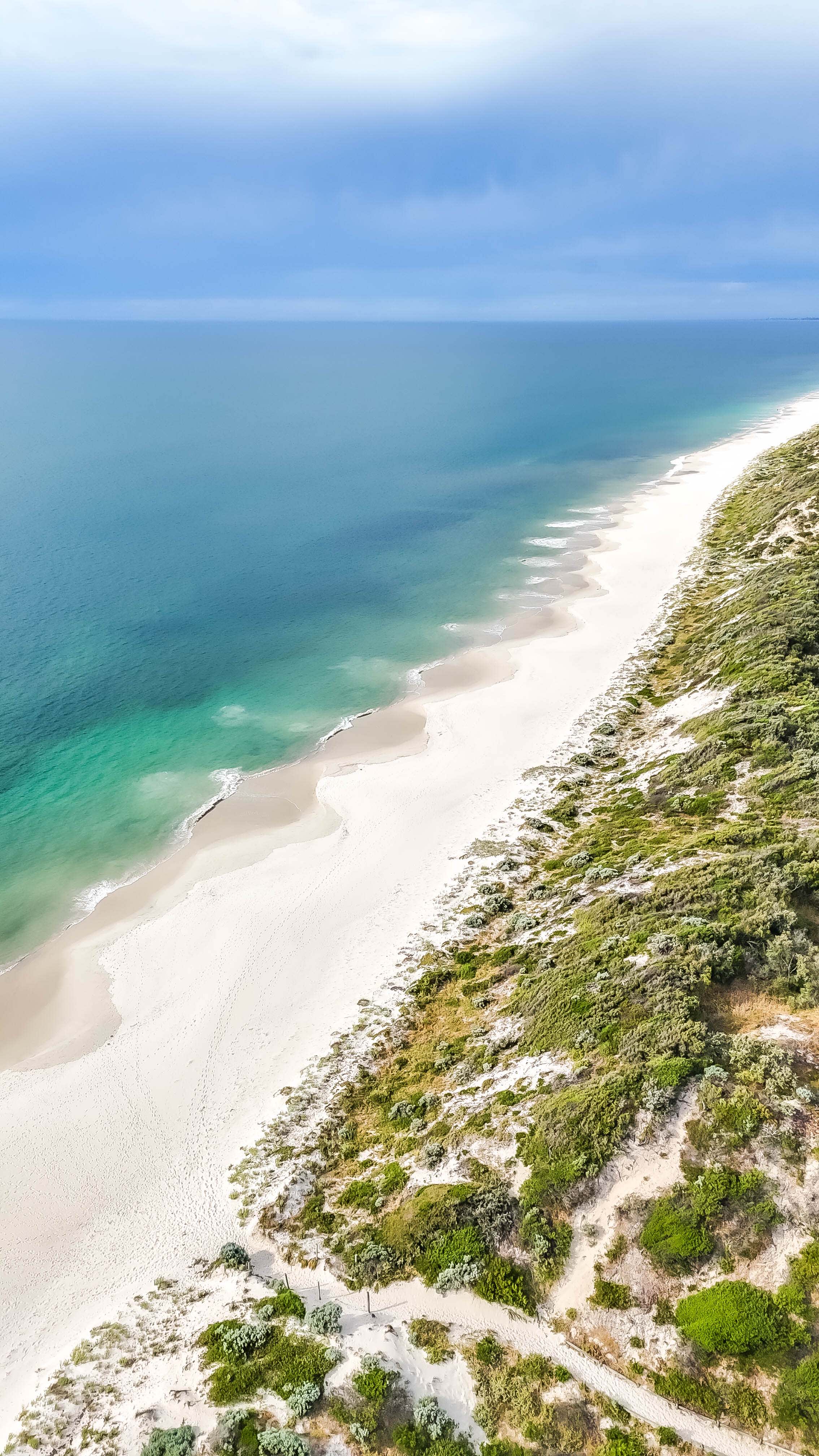 A drone shot of a white sandy beach, with blue ocean on the left and vegetation-covered dunes on the right.