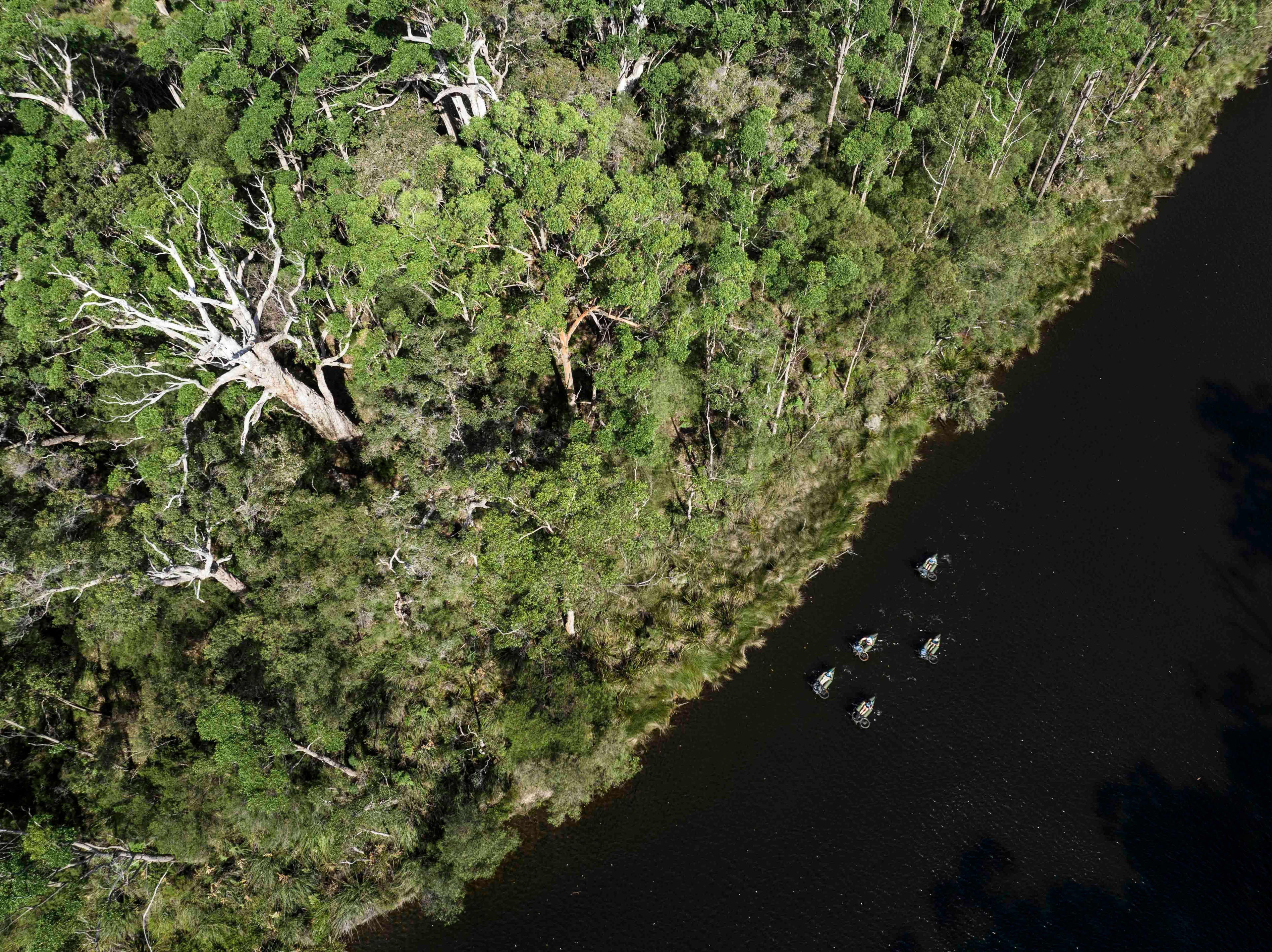 An aerial shot showing tall trees framing the dark water of a river, where five people are kayaking.