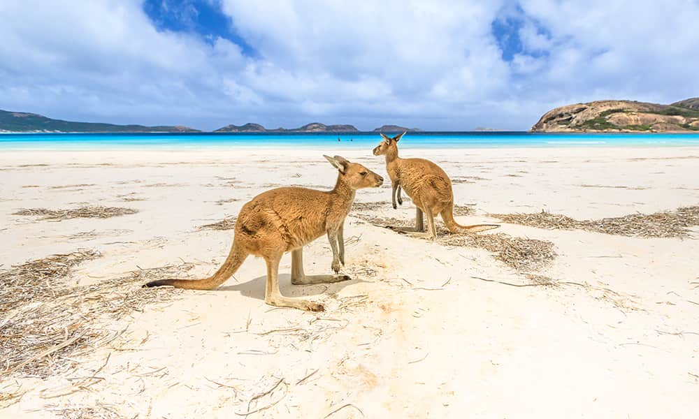 State_esperance_t