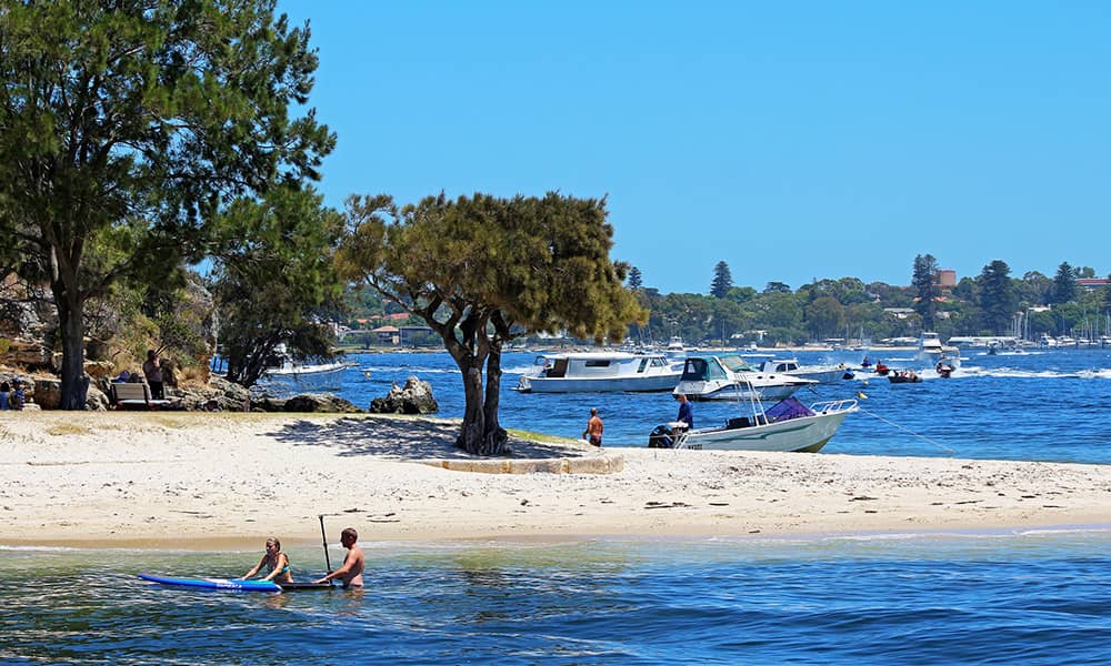Image of people paddling