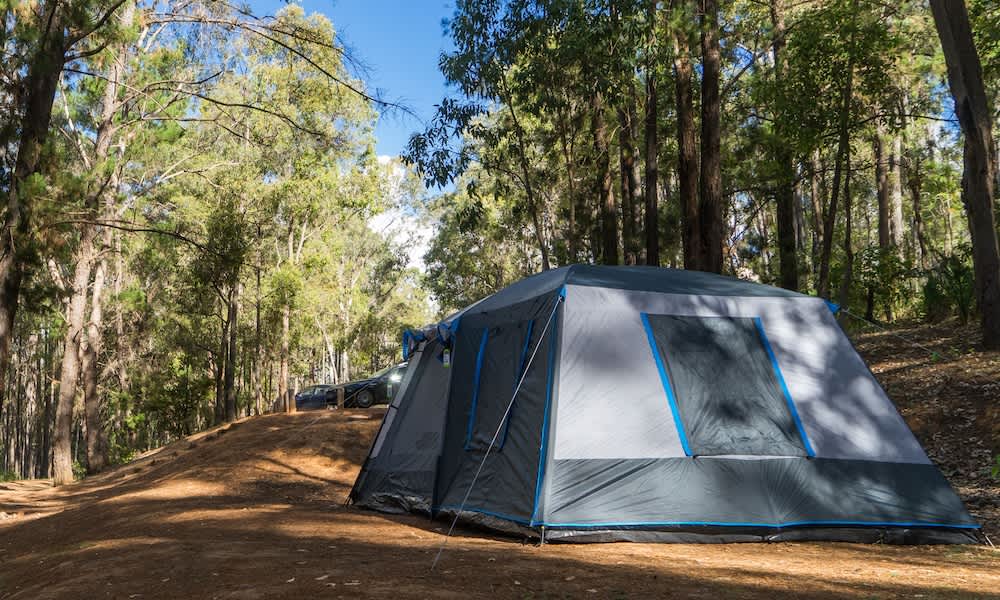Tent in forest.