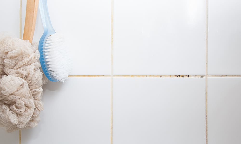 Scrubbing brush hanging in shower