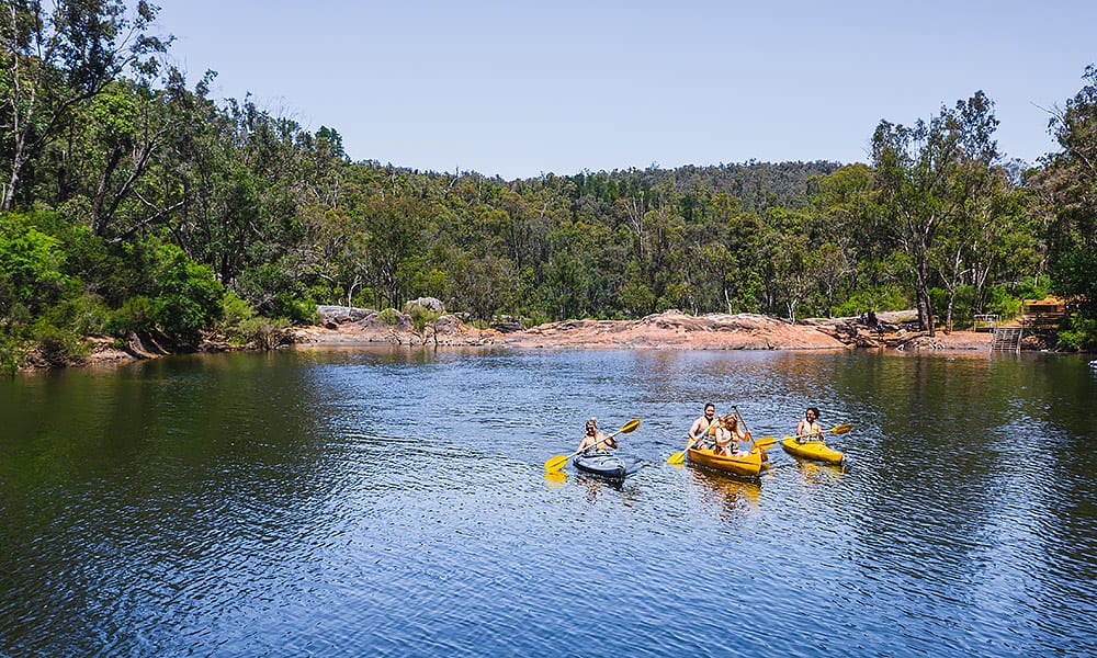 People canoeing across a river in a forested area in Dwellingup