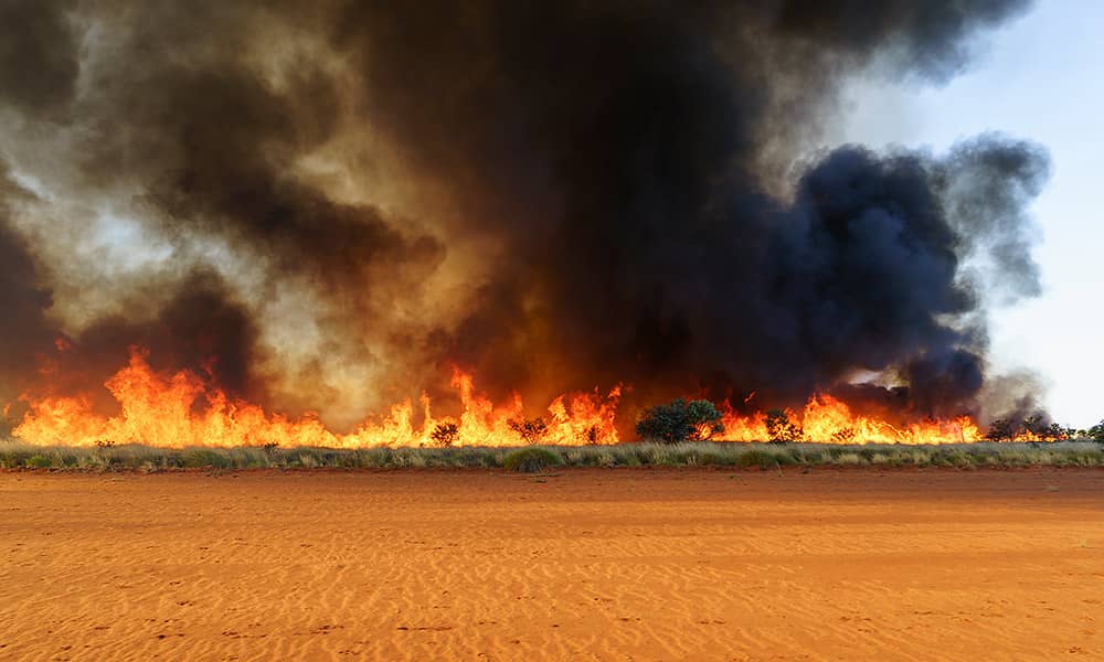 Fire across a field from a bushfire