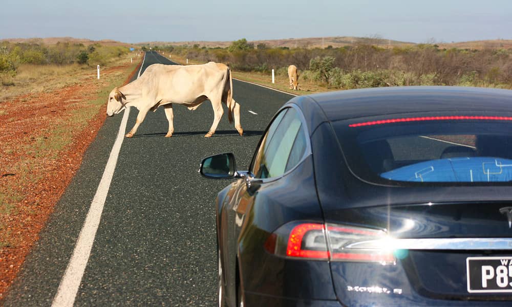 Rob Dean's Tesla in the North West