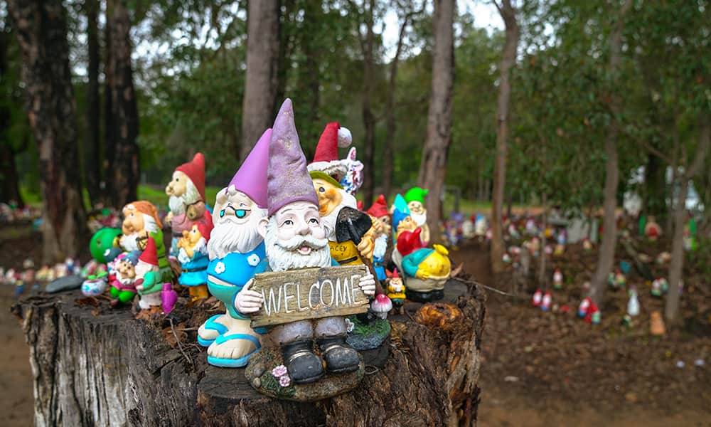 TT_Dardanup_gnomes3