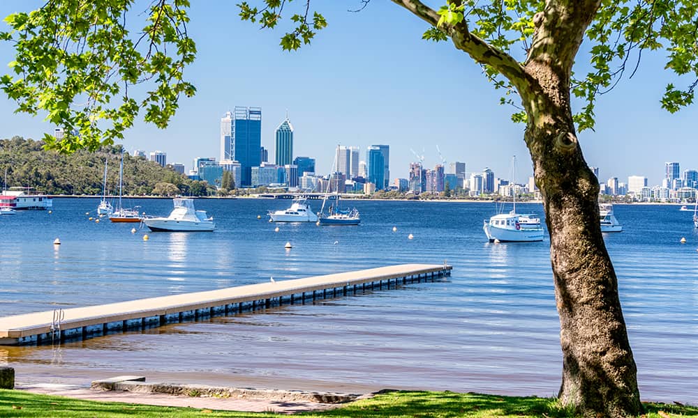 Image of tree overlooking water