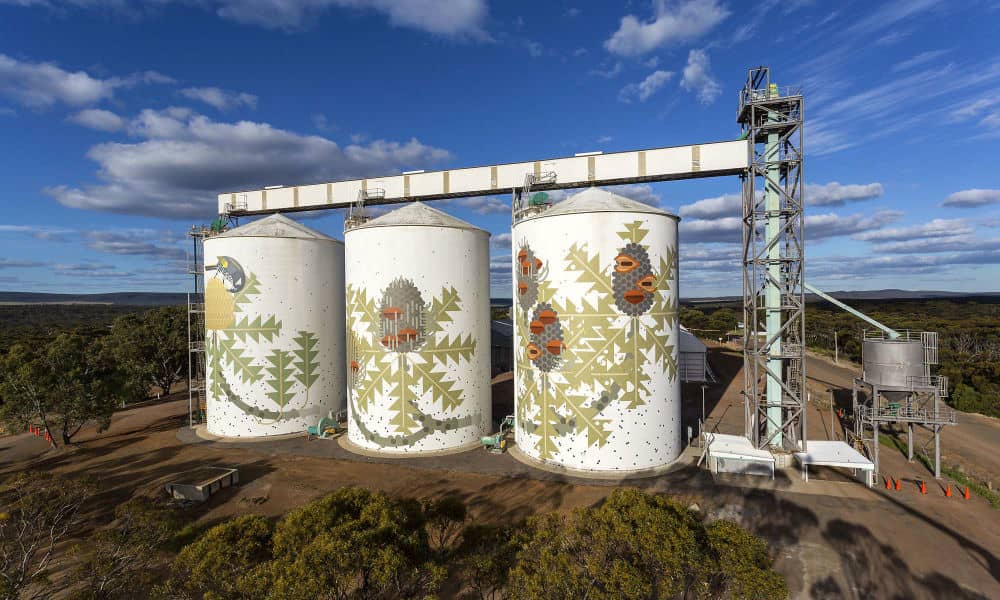 The Banksia Baxteri silo artwork